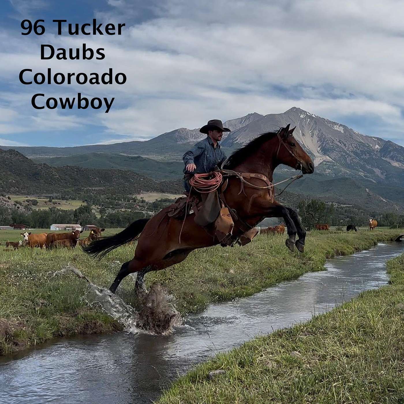96 Tucker Daubs, Colorado Cowboy