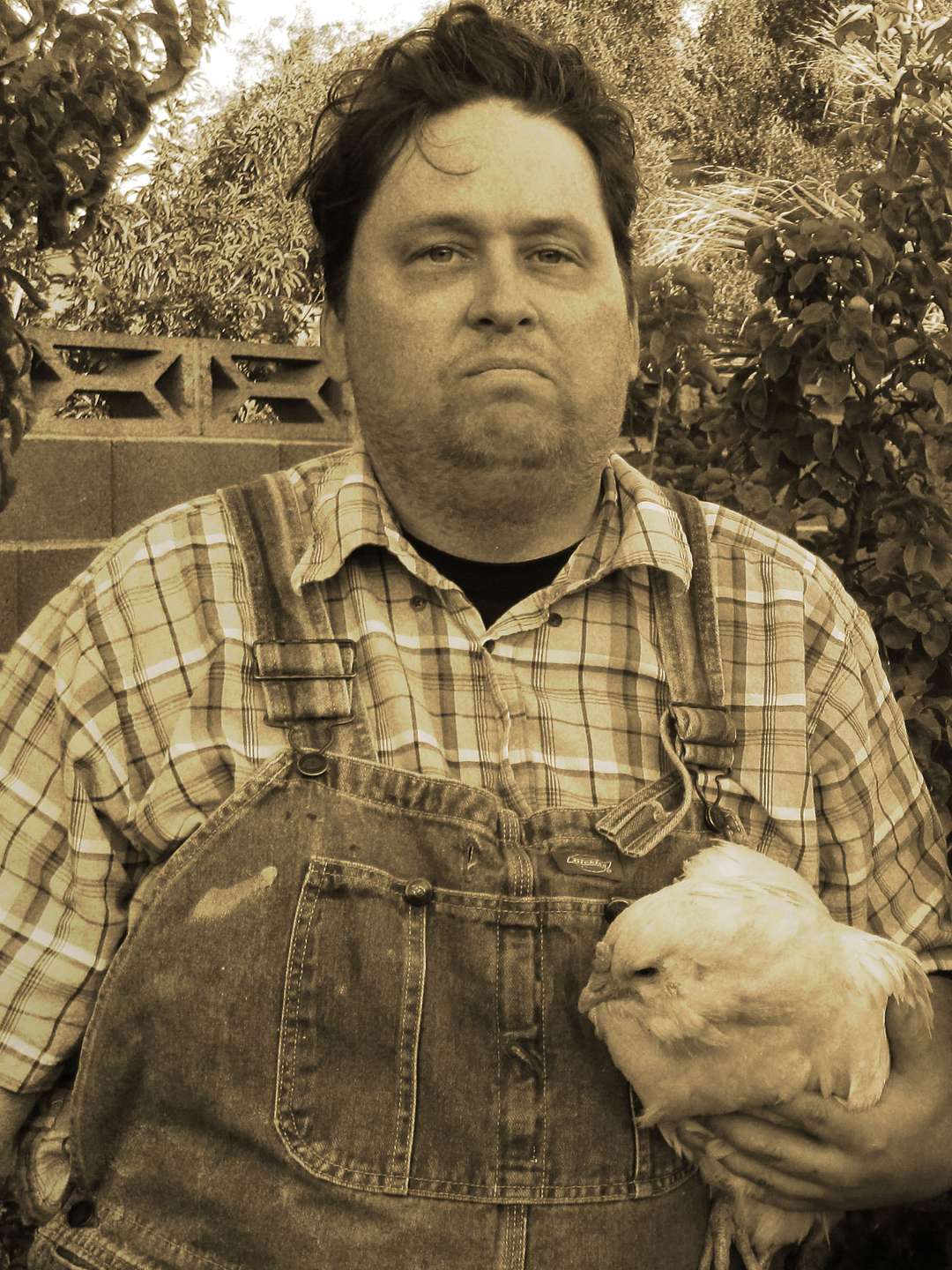 Andy Morris