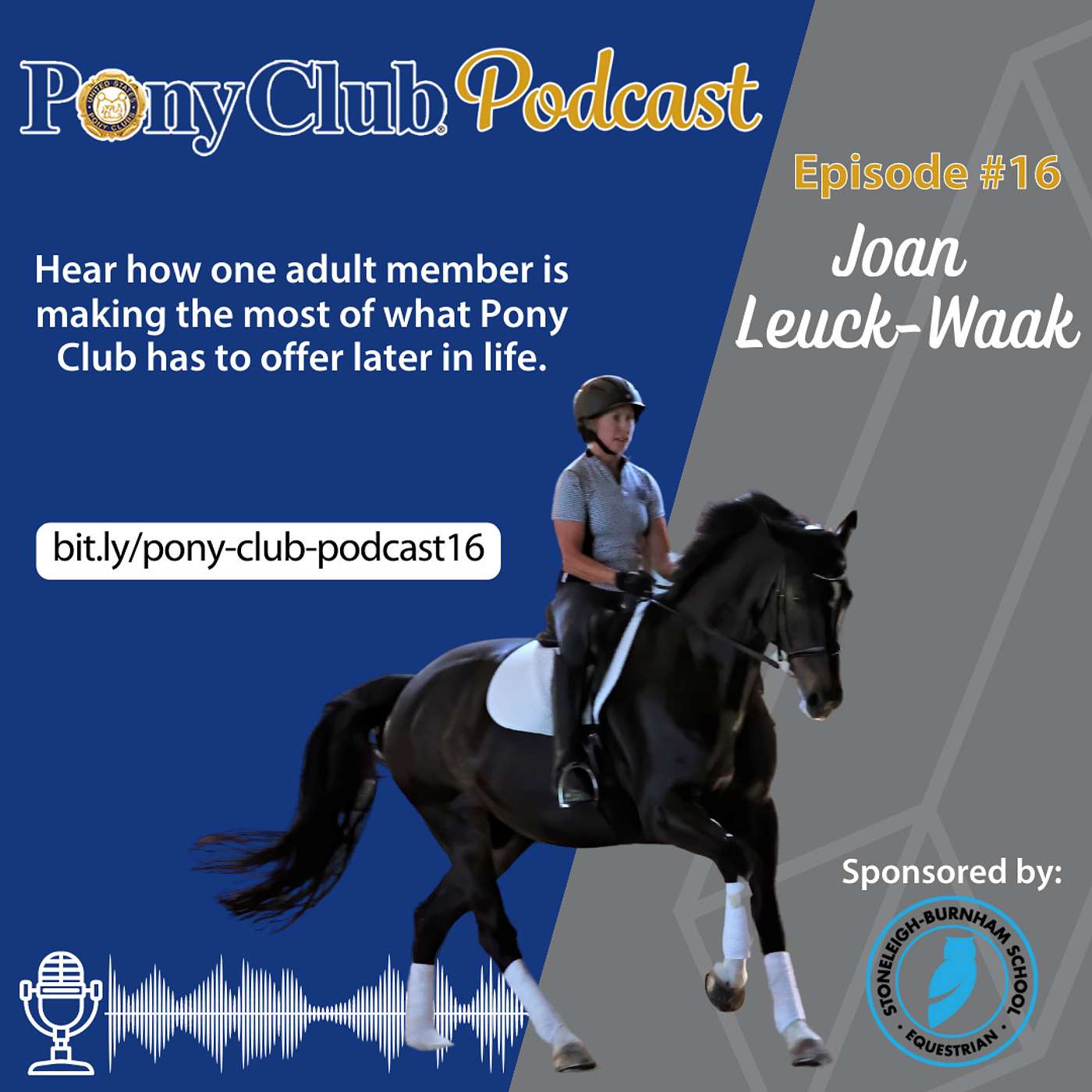 Adult Pony Club Member Joan Leuck-Waak