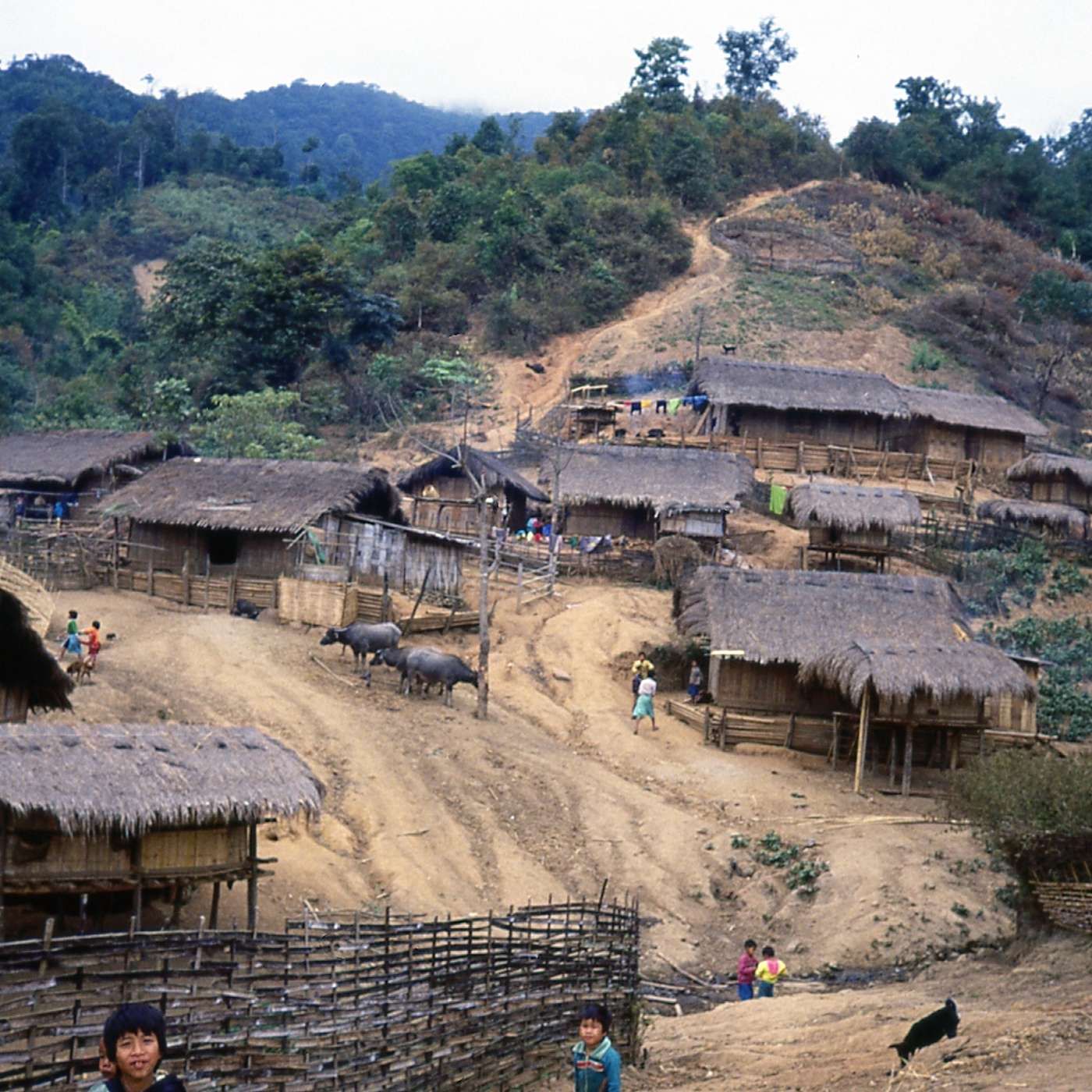 The Golden Triangle and Thai Hill Tribes The Golden Triangle and Thai Hill Tribes