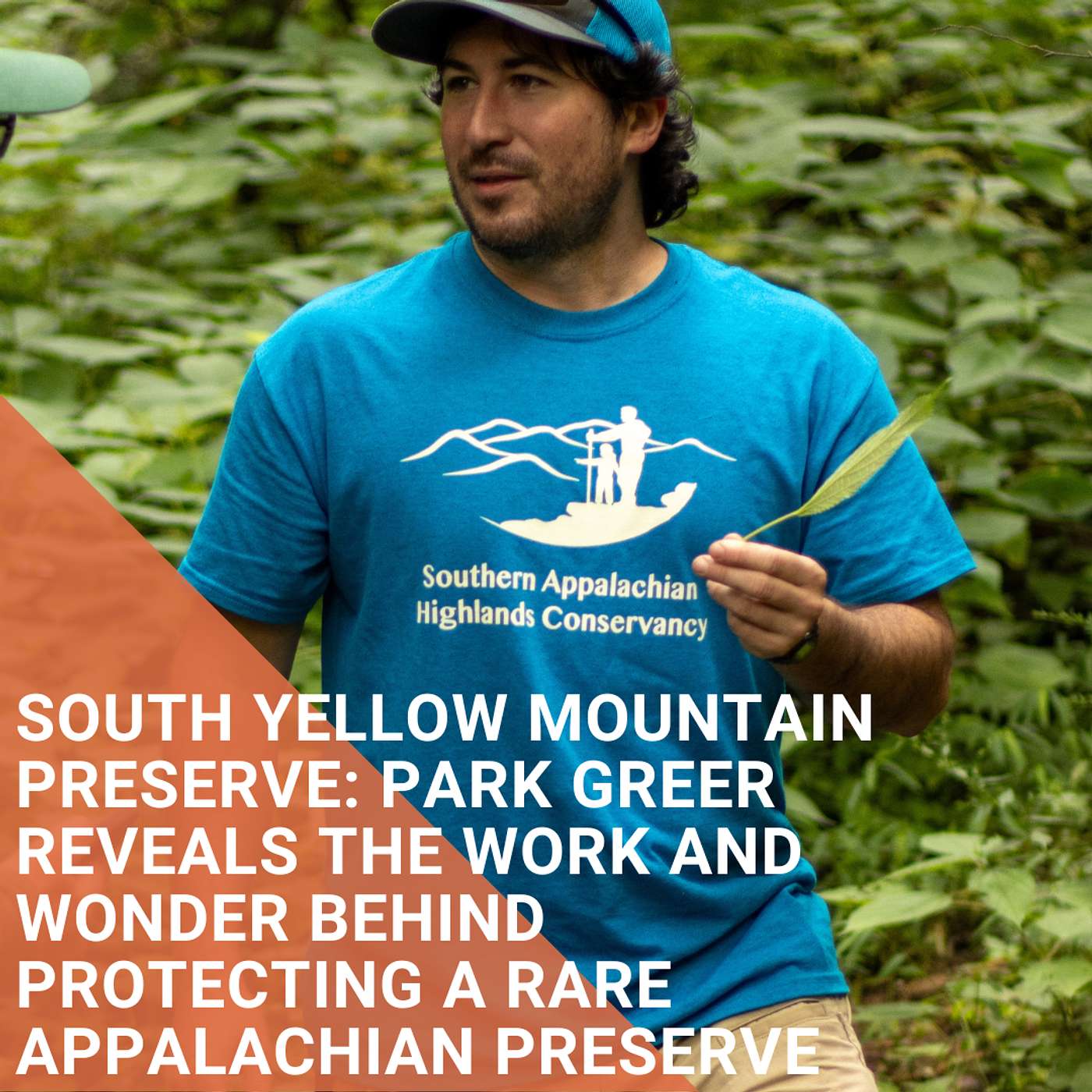 South Yellow Mountain Preserve: Park Greer Reveals The Work And Wonder Behind Protecting A Rare Appalachian Preserve South Yellow Mountain Preserve: Park Greer Reveals The Work And Wonder Behind Protecting A Rare Appalachian Preserve