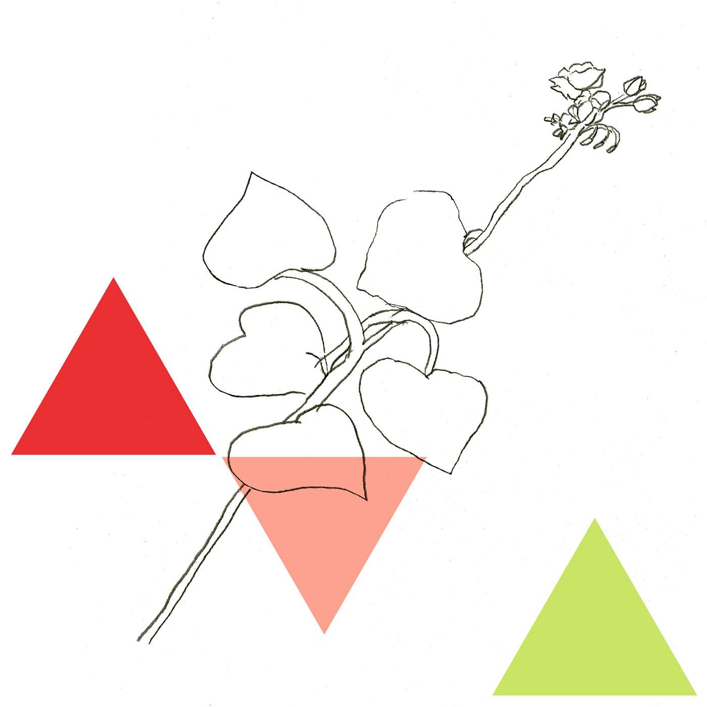 Gratitude Blooming Podcast