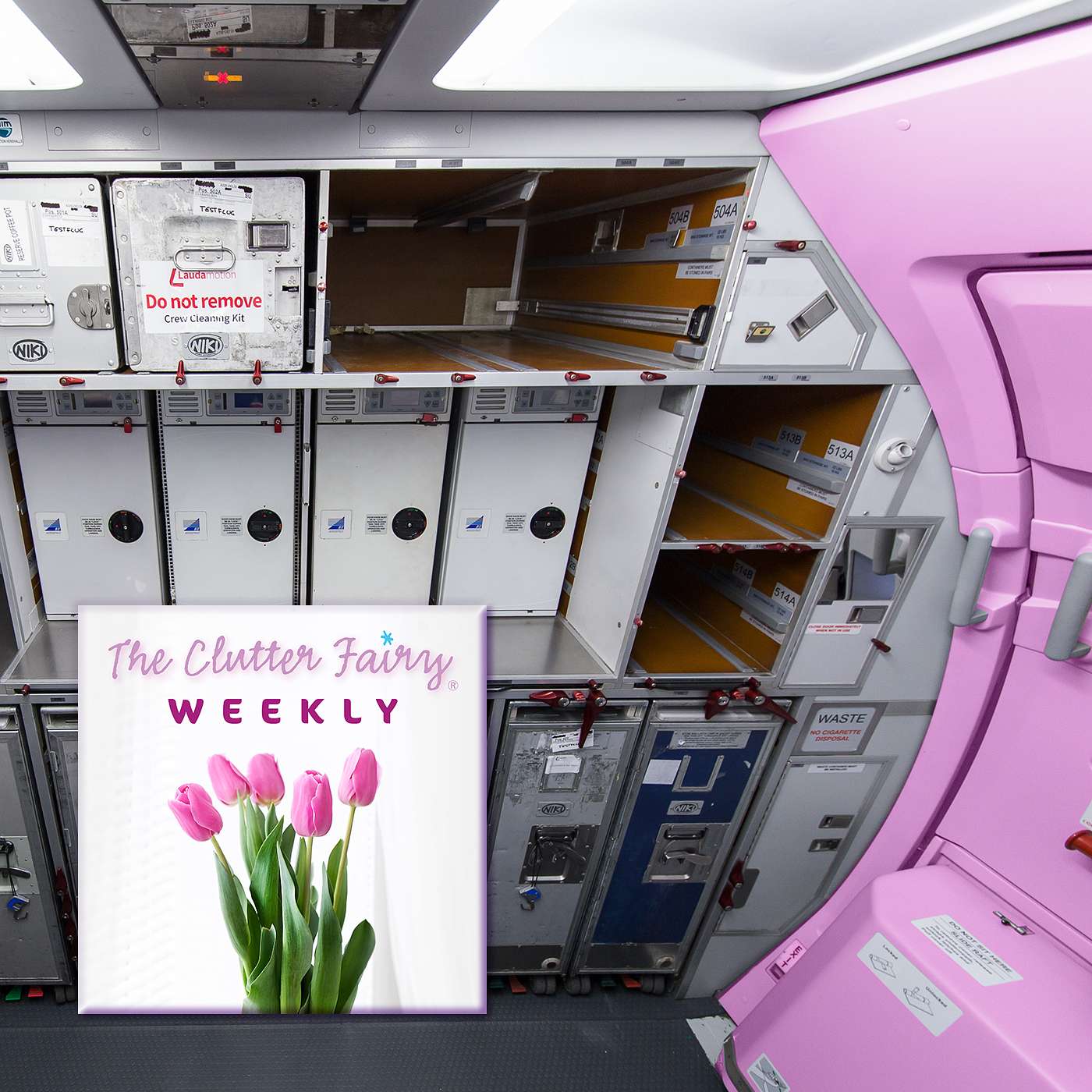 The Clutter Fairy Weekly