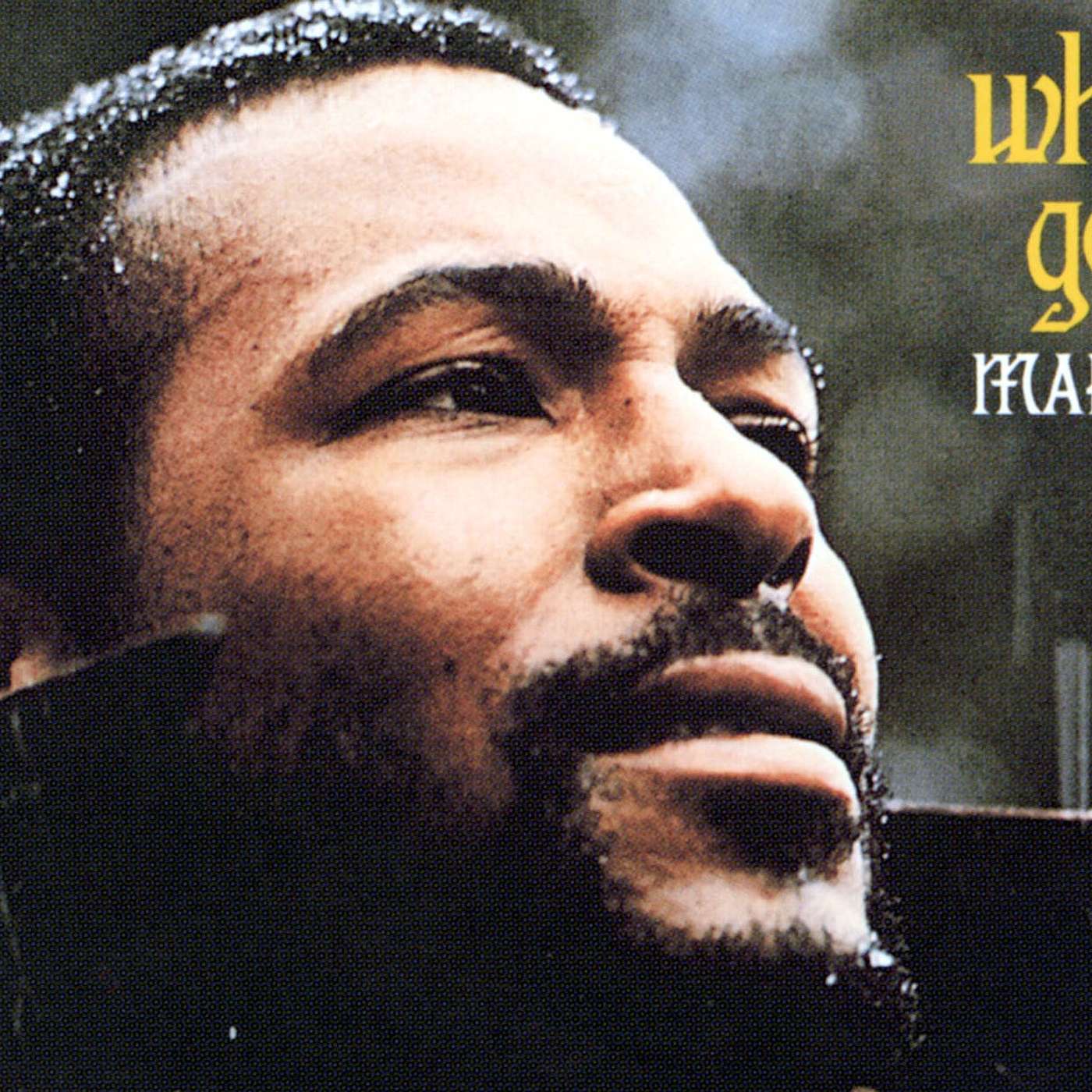 Max and Mello’s Architects of Soul