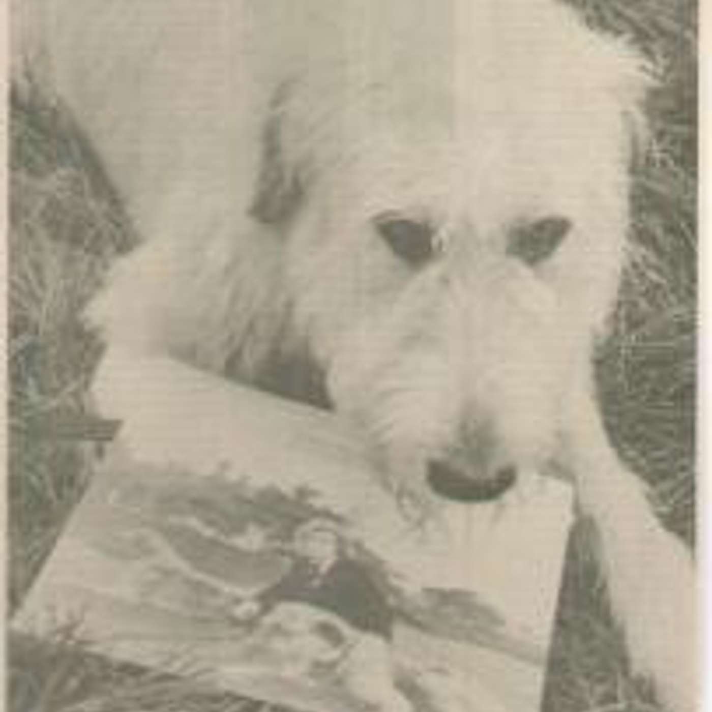 VEEDON FLEECE Part Two with Kyle Fite