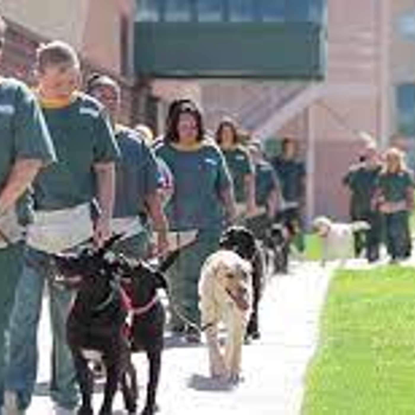K9 Educators - To Save a Pets Life