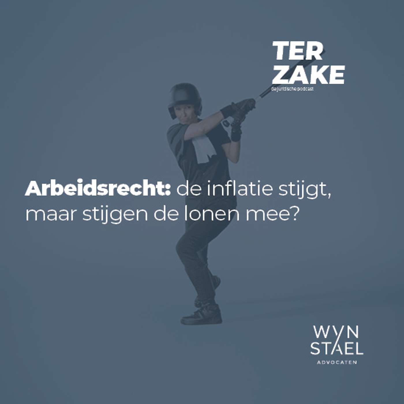 Ter zake
