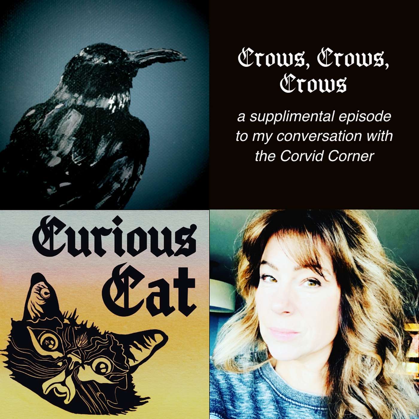 Curious Cat