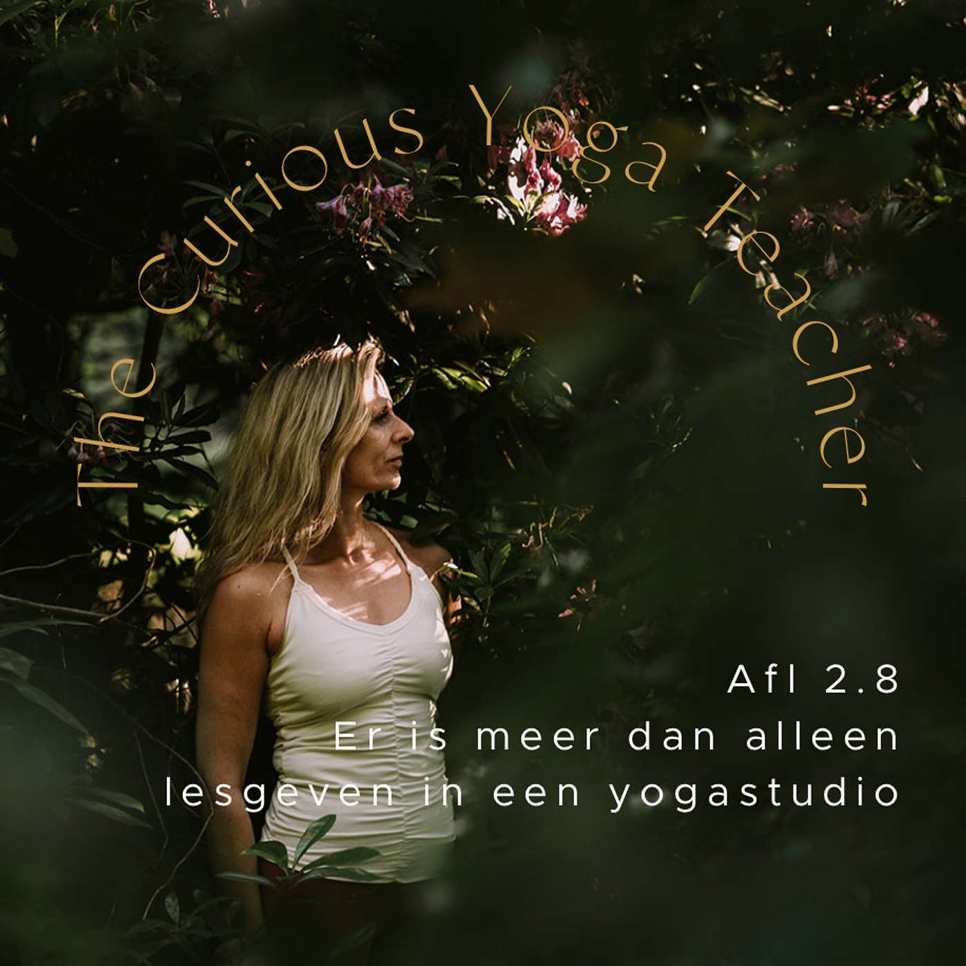 The Curious Yoga Teacher