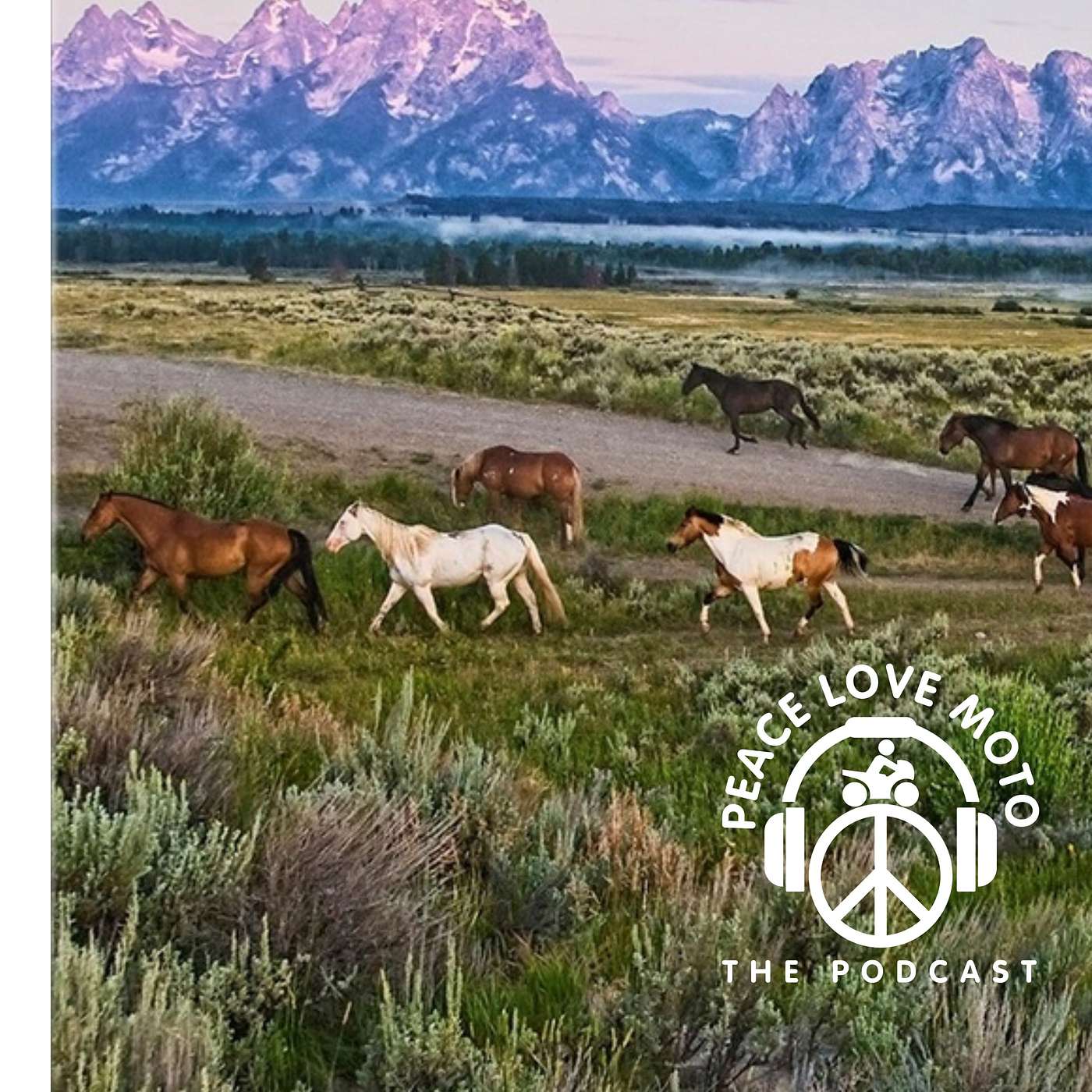 Peace Love Moto - The Motorcycle Podcast