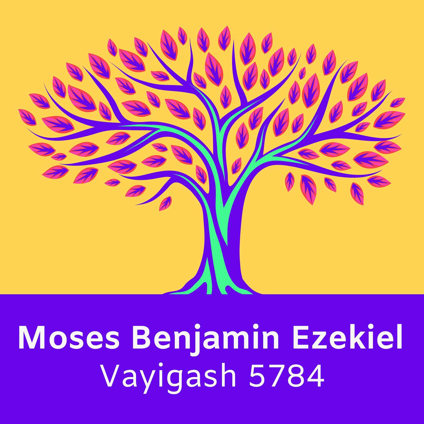 Modern Torah
