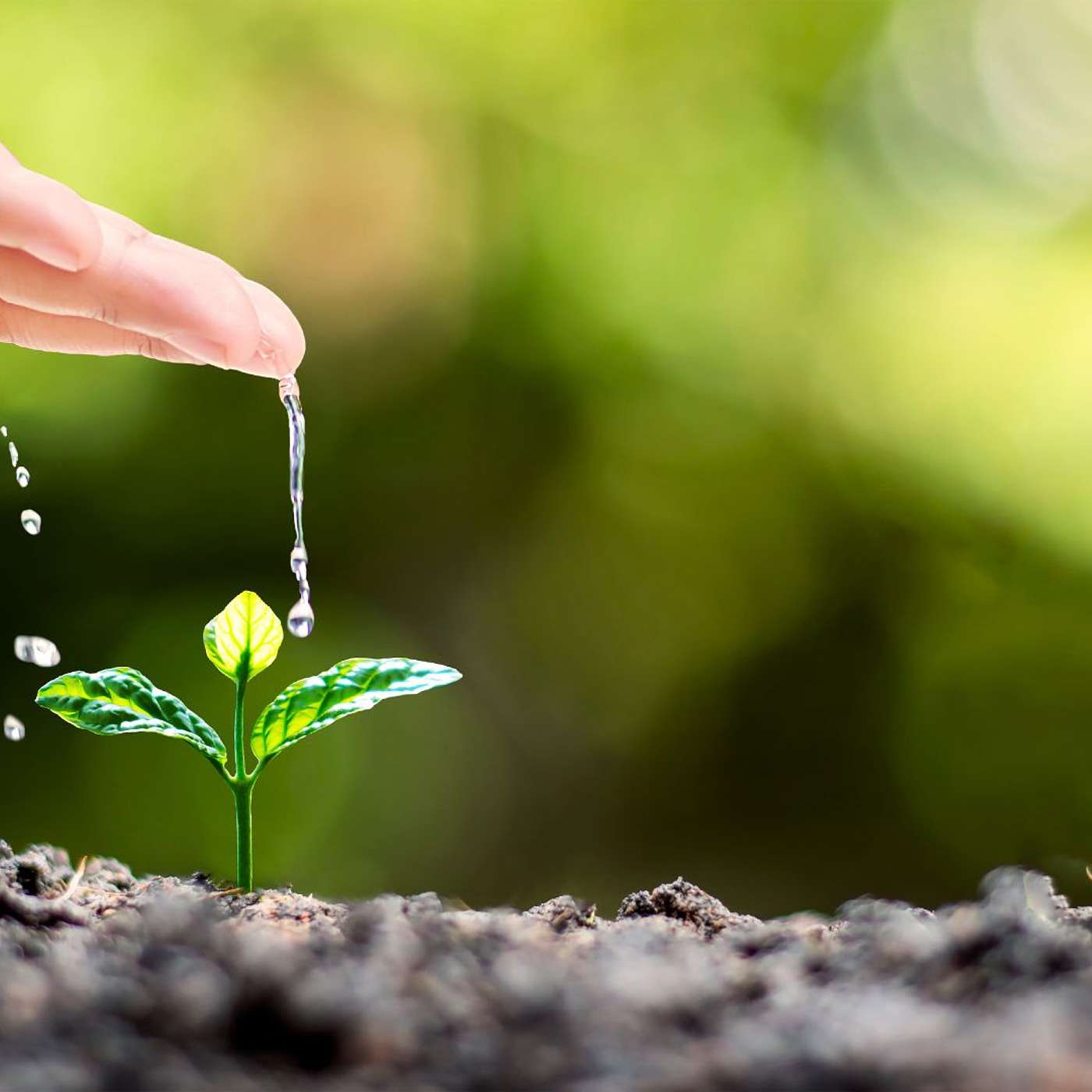 A Healthy Spirituality