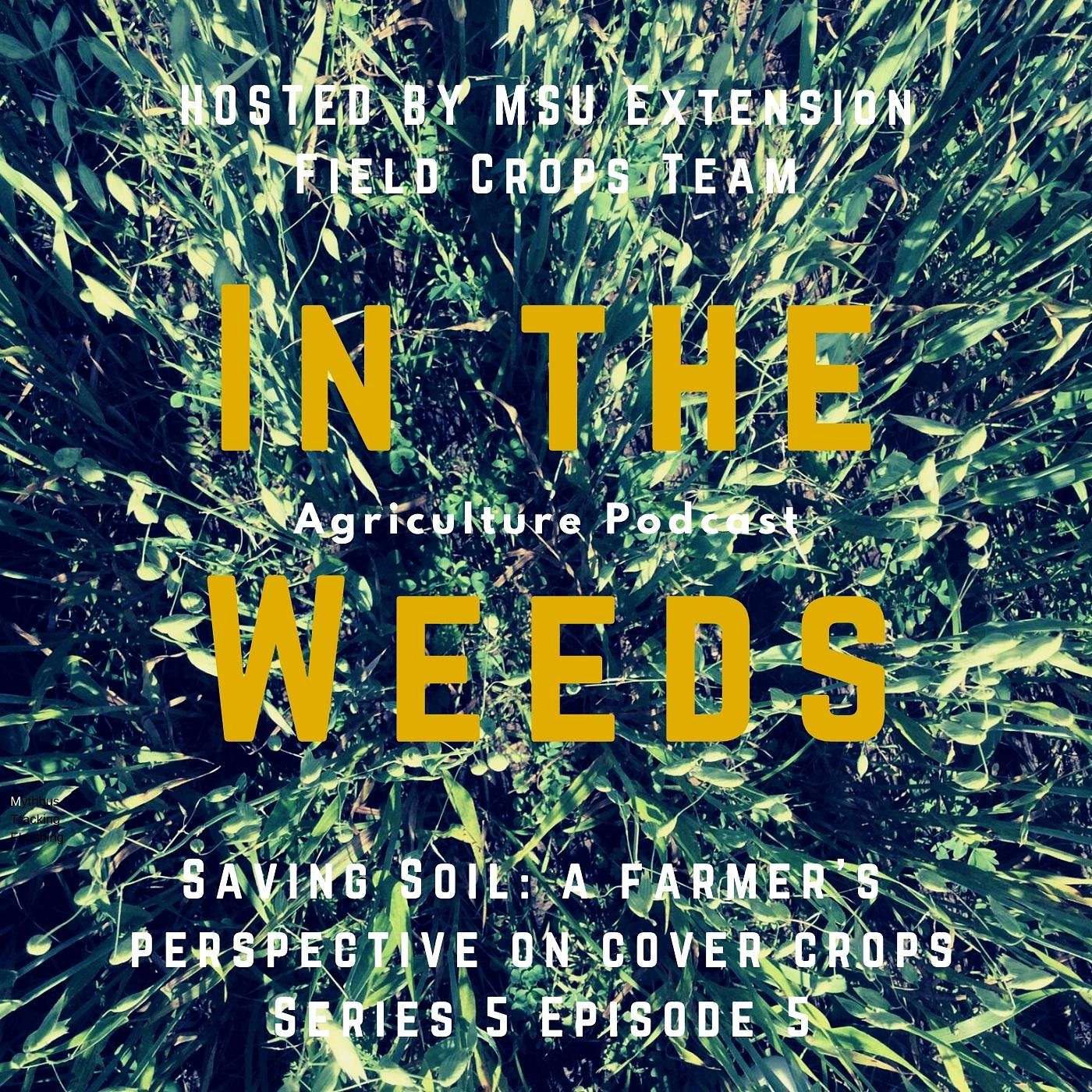 In the Weeds: Saving soil: a Farmer's Perspective on Cover Crops episode artwork