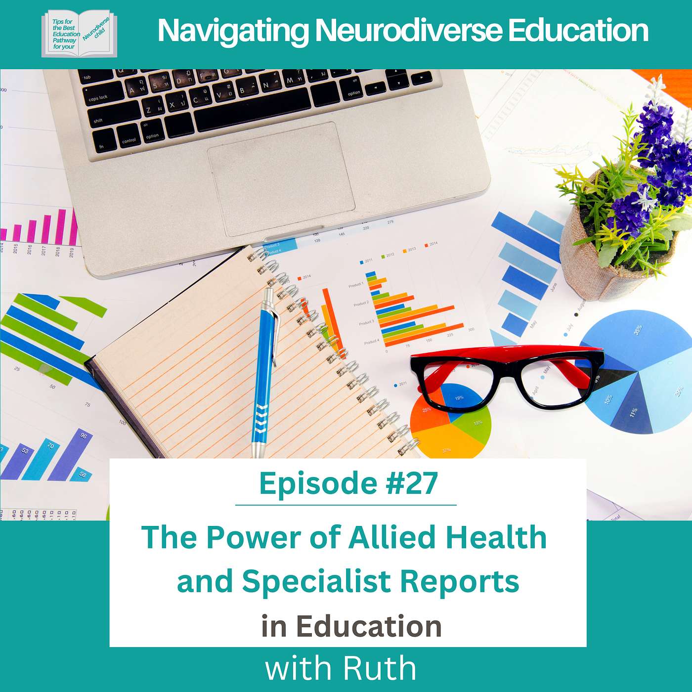 #27 The Power of Allied Health & Specialist Reports in Education