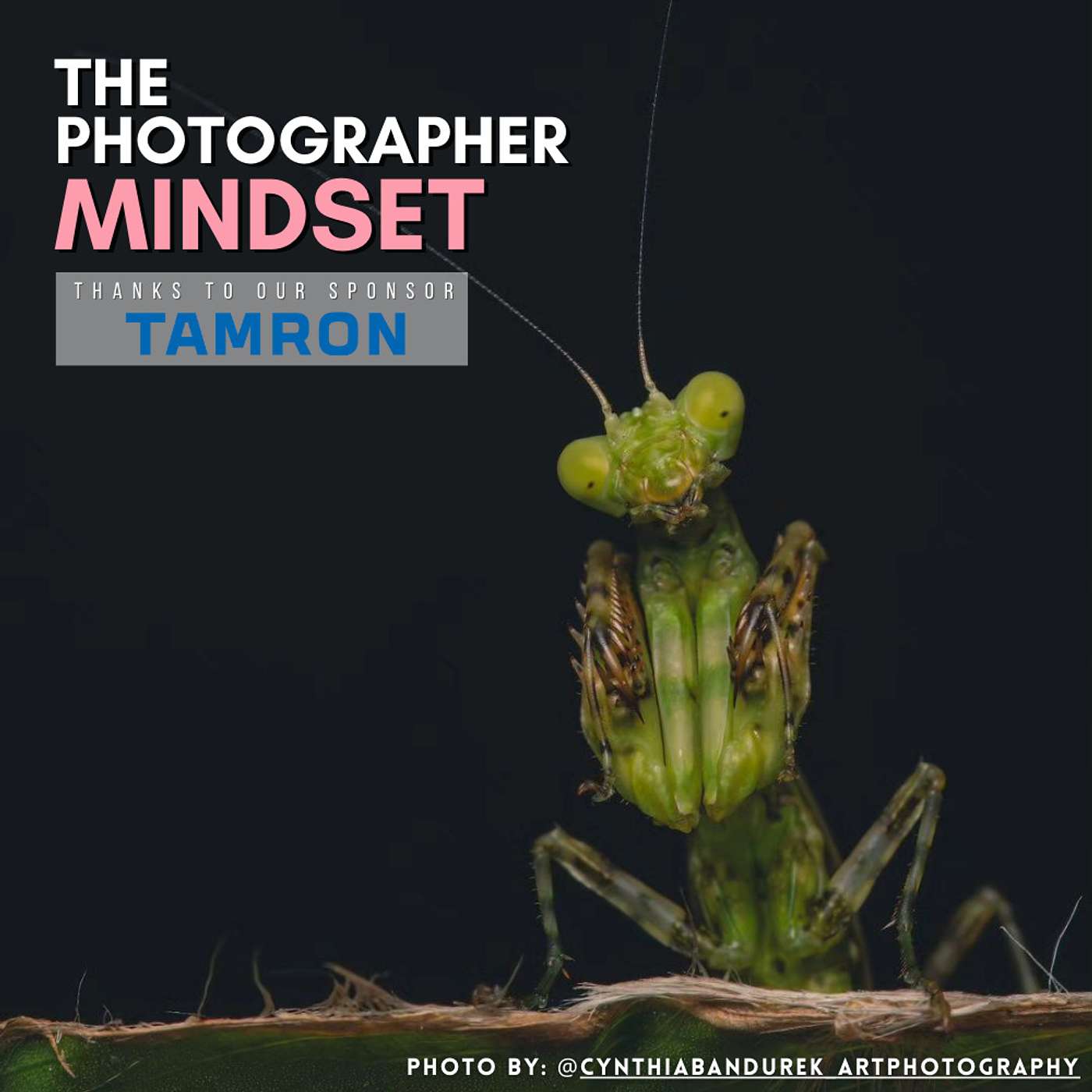 The Photographer Mindset Guide: 