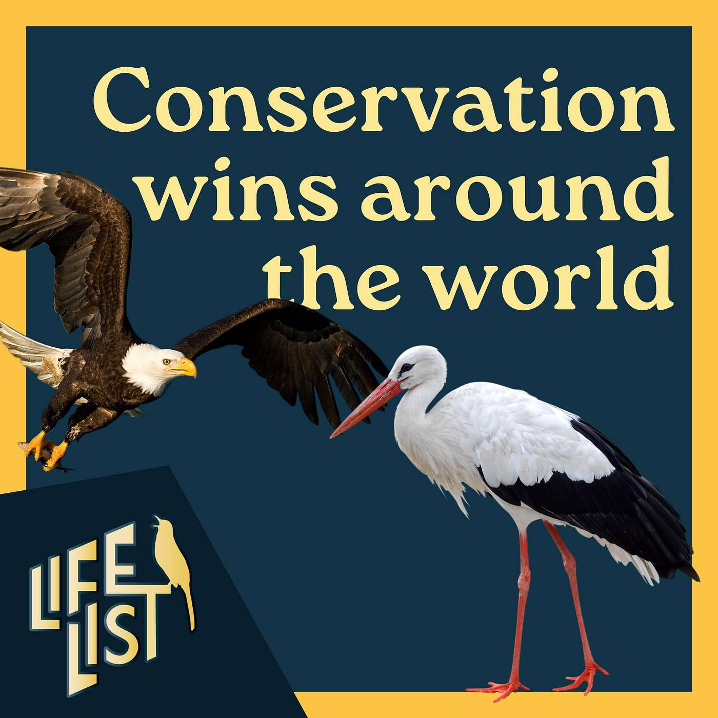 What bird conservation successes can teach us with Scott Weidensaul