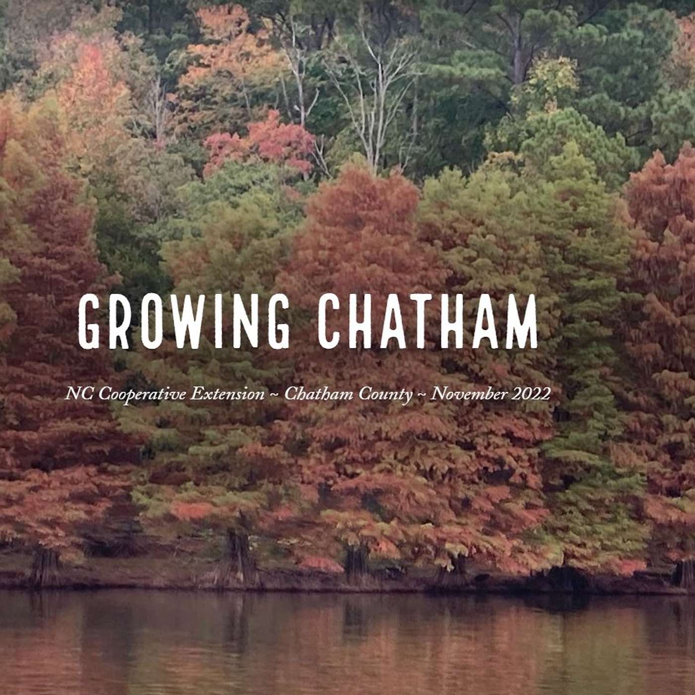 Growing Chatham November 2022 episode artwork