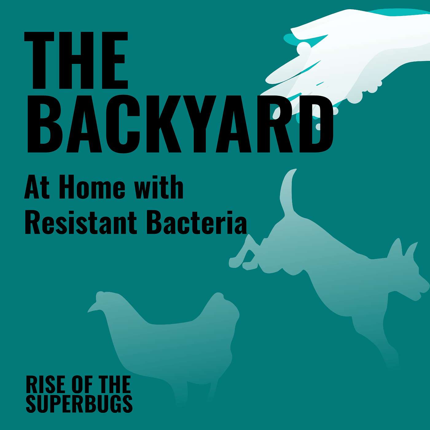 The backyard: at home with resistant bacteria