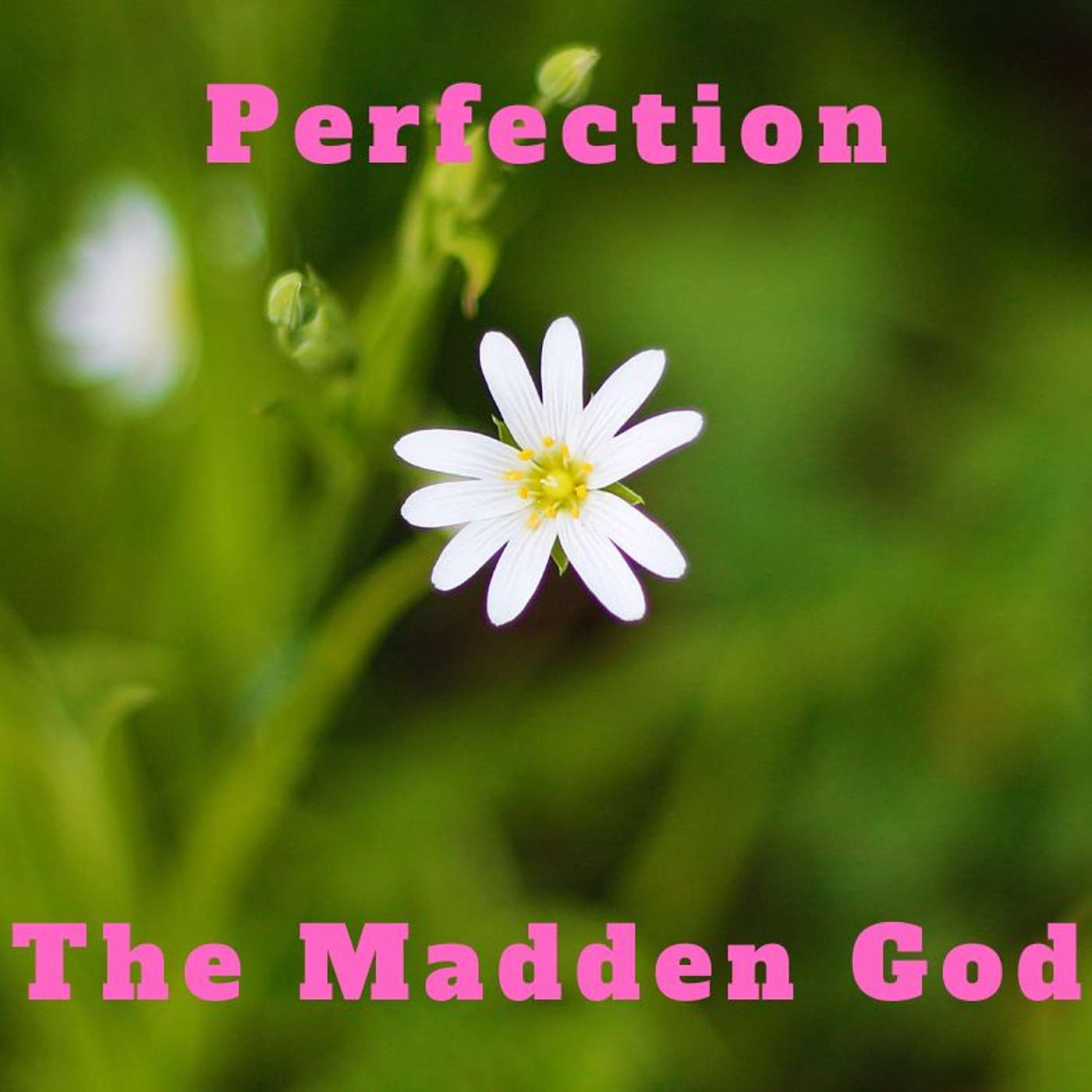 Perfection