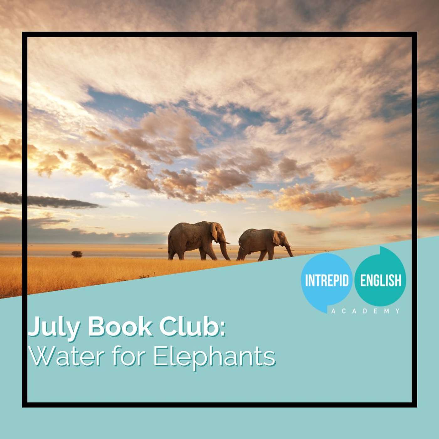 FREE Online Book Club: July's Book Club Pick 📚🐘