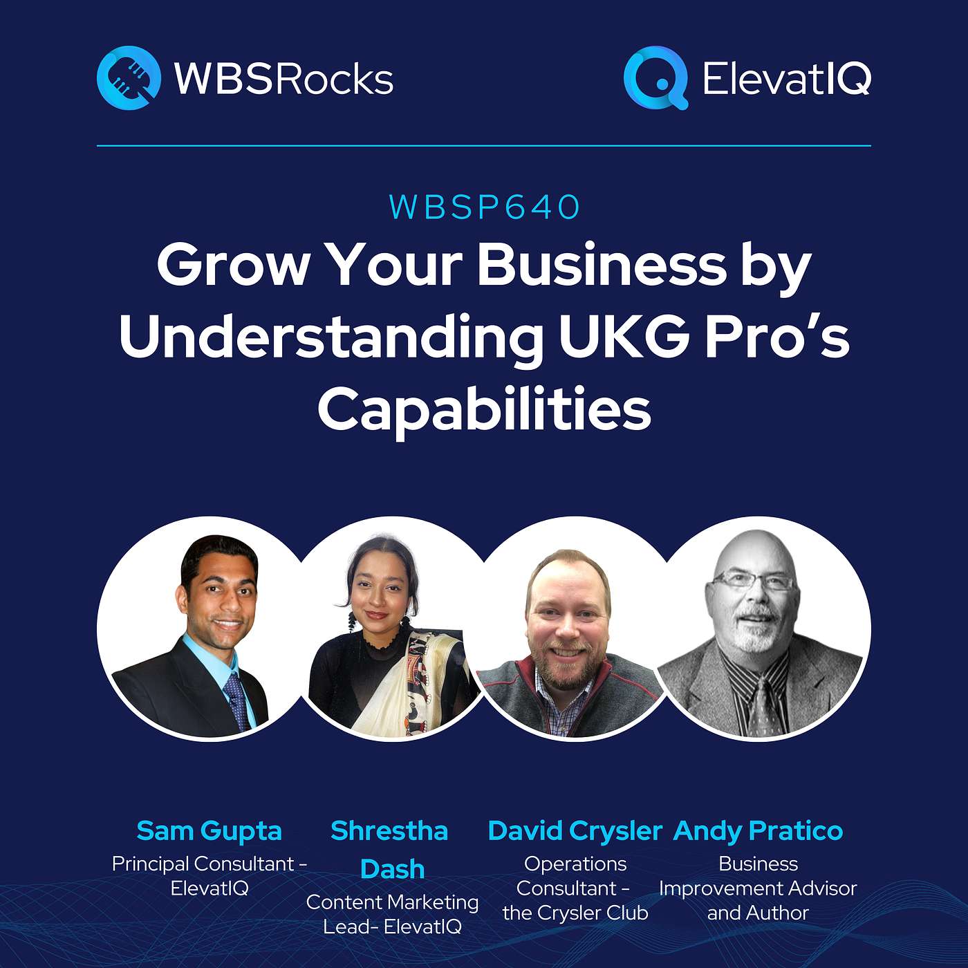 WBSRocks: Business Growth with Enterprise Software and Digital Transformation