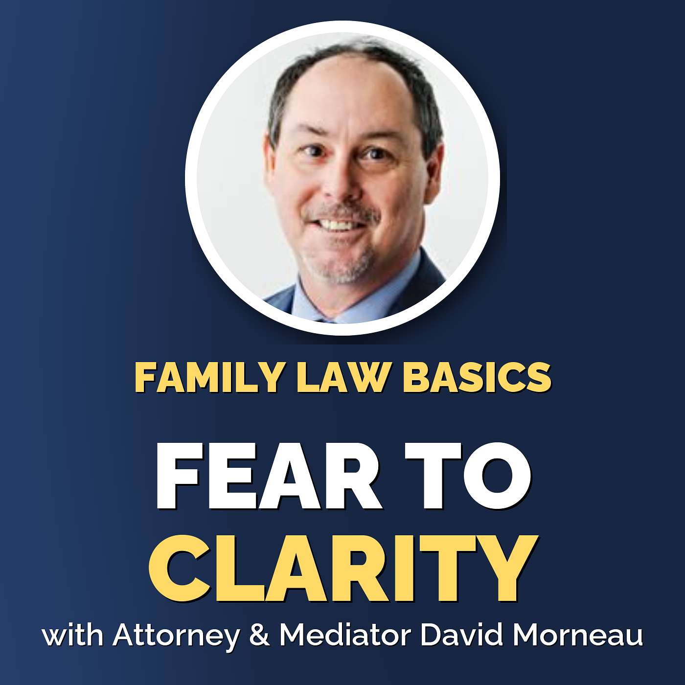 David Morneau: Fear, Emotion, and the Family Law System episode artwork