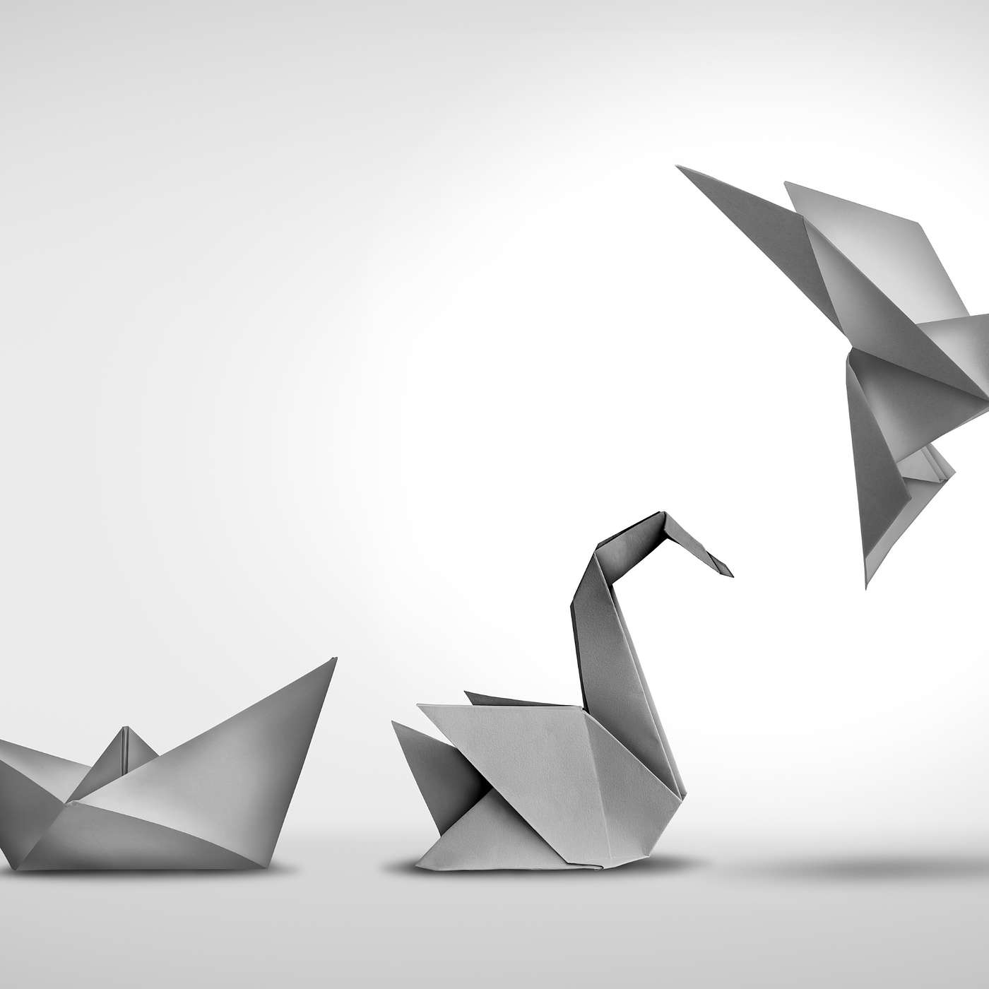 Why Change is All the Things