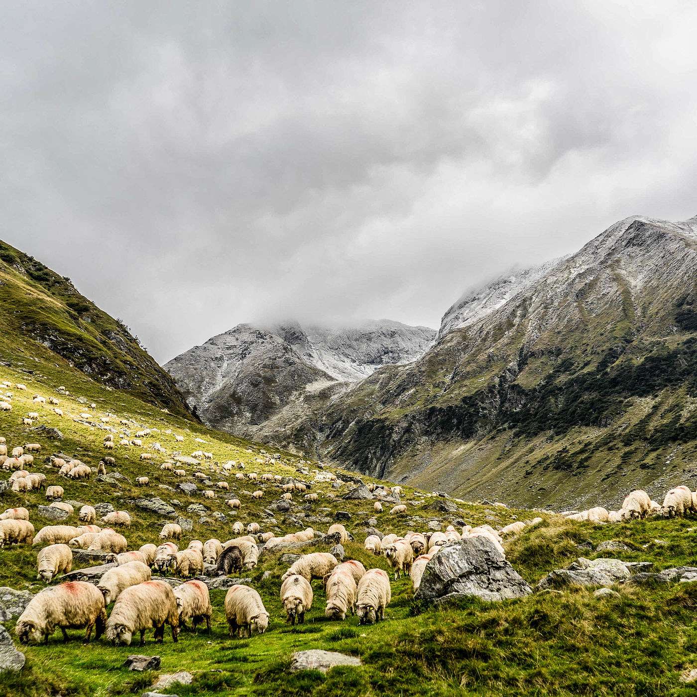 Tulia Christian Fellowship