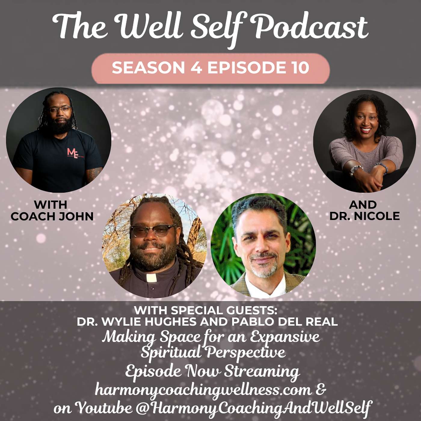 Making Space for an Expansive Spiritual Perspective (S4 E10) episode artwork