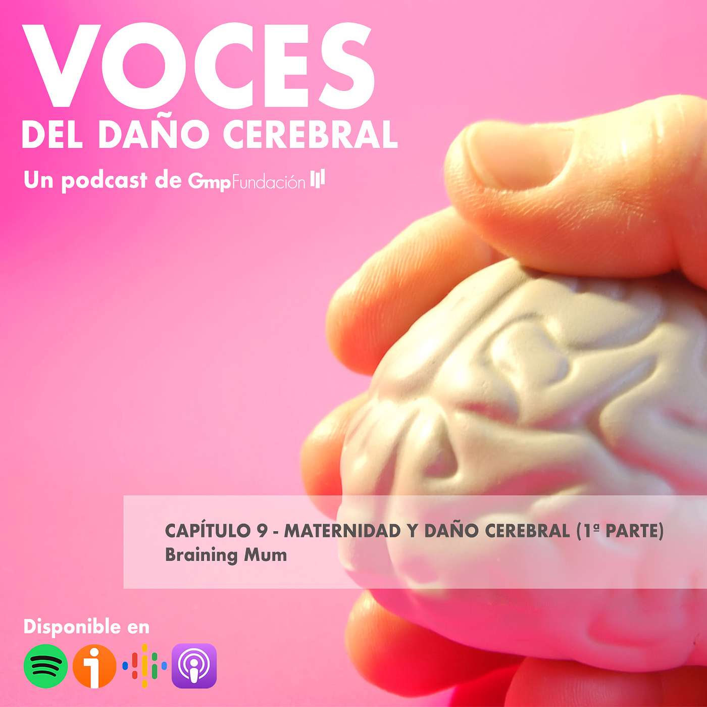 VOCES DEL DAÑO CEREBRAL. Capítulo 9 - Maternidad y Daño Cerebral (1ª parte)