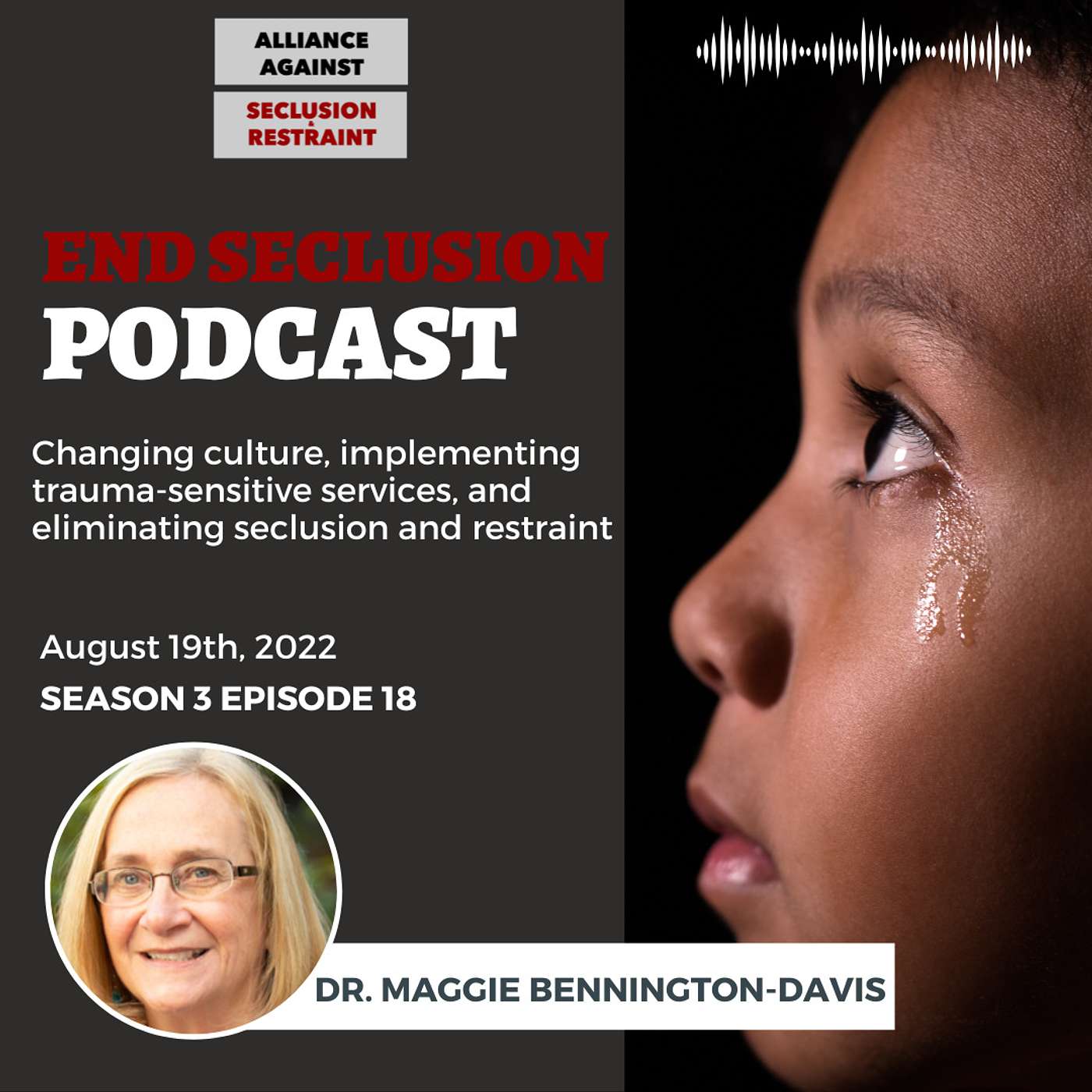 Changing culture, implementing trauma-sensitive services, and eliminating seclusion and restraint