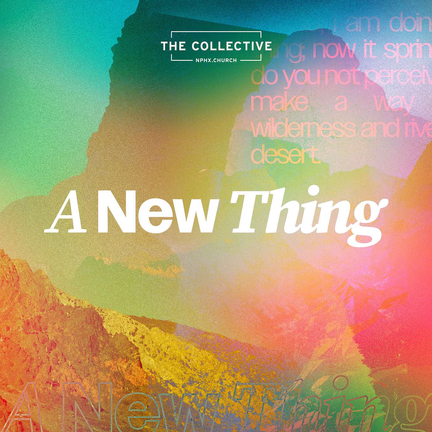 The Collective - NPHX