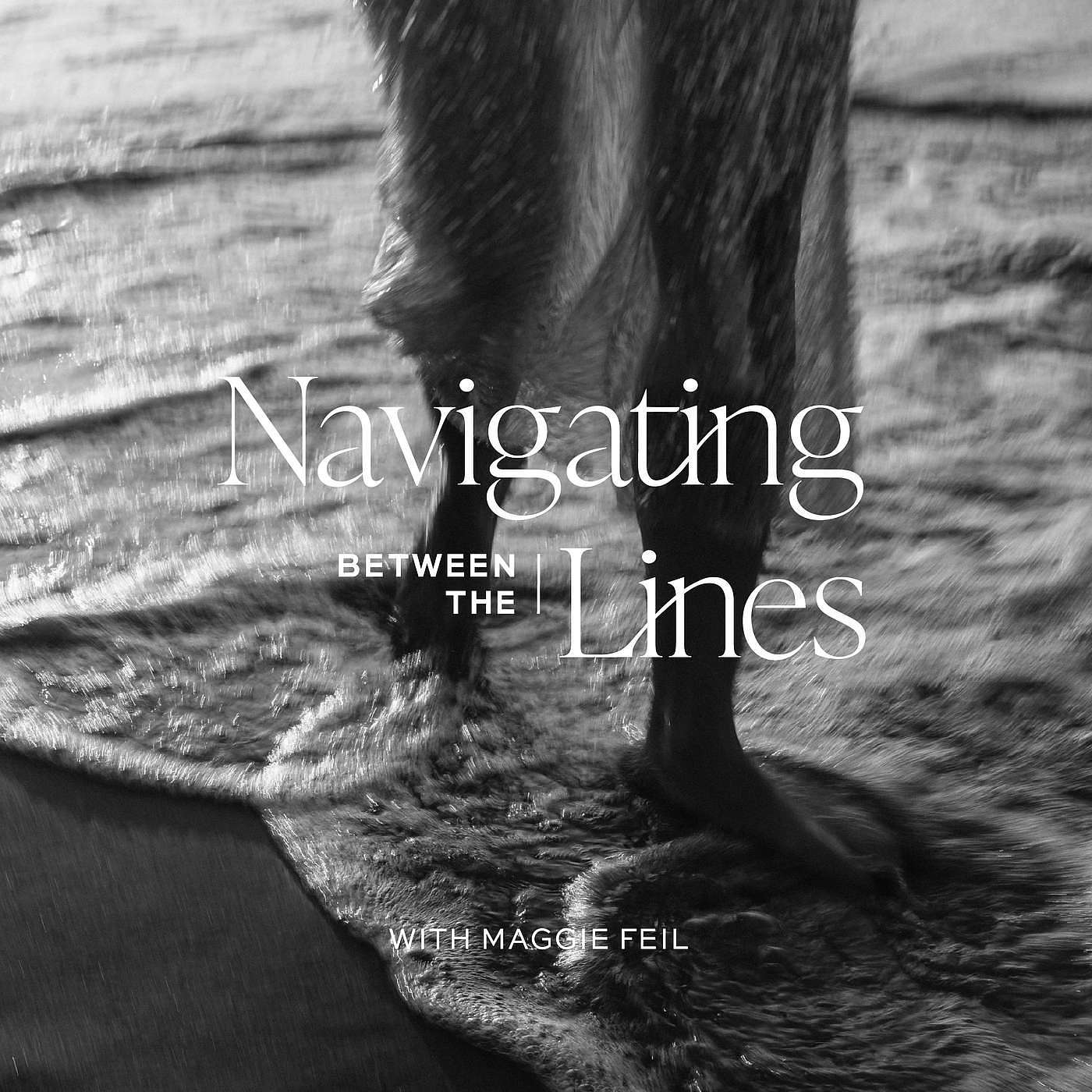 Navigating Between The Lines Artwork