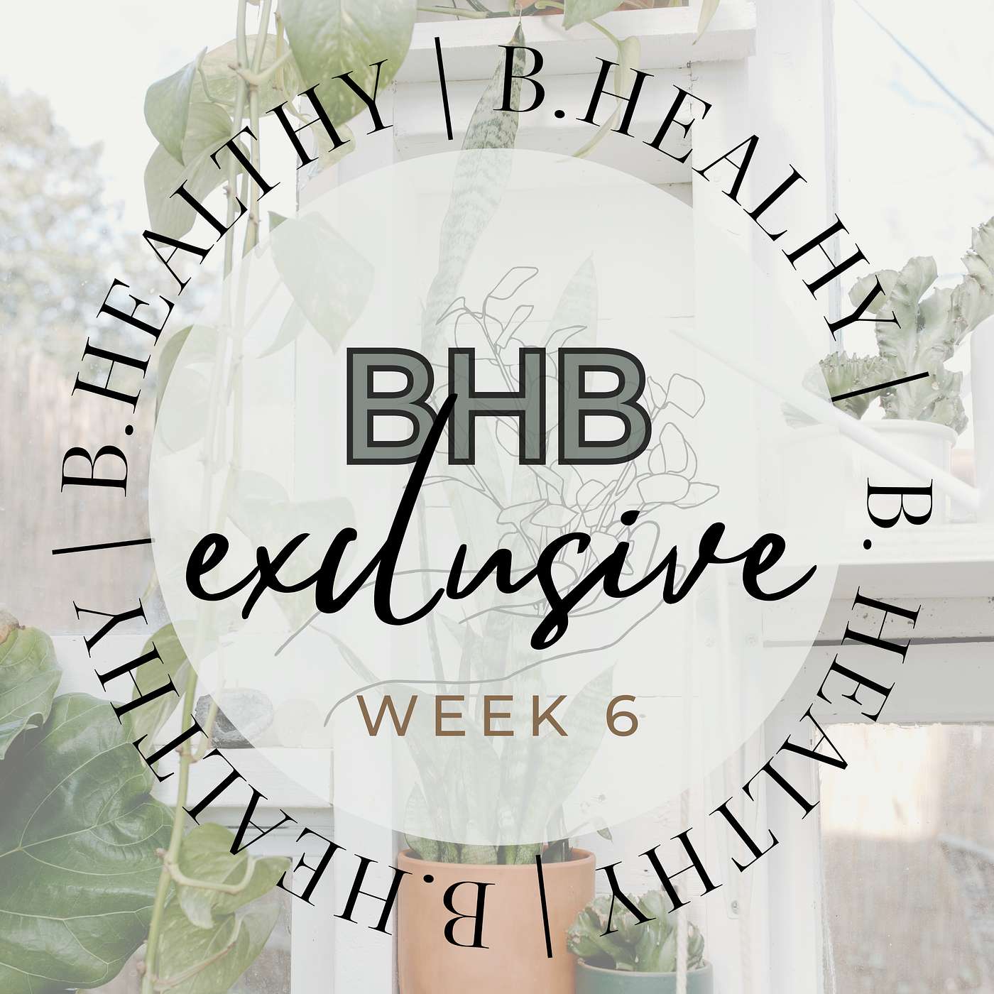 BHB Exclusive