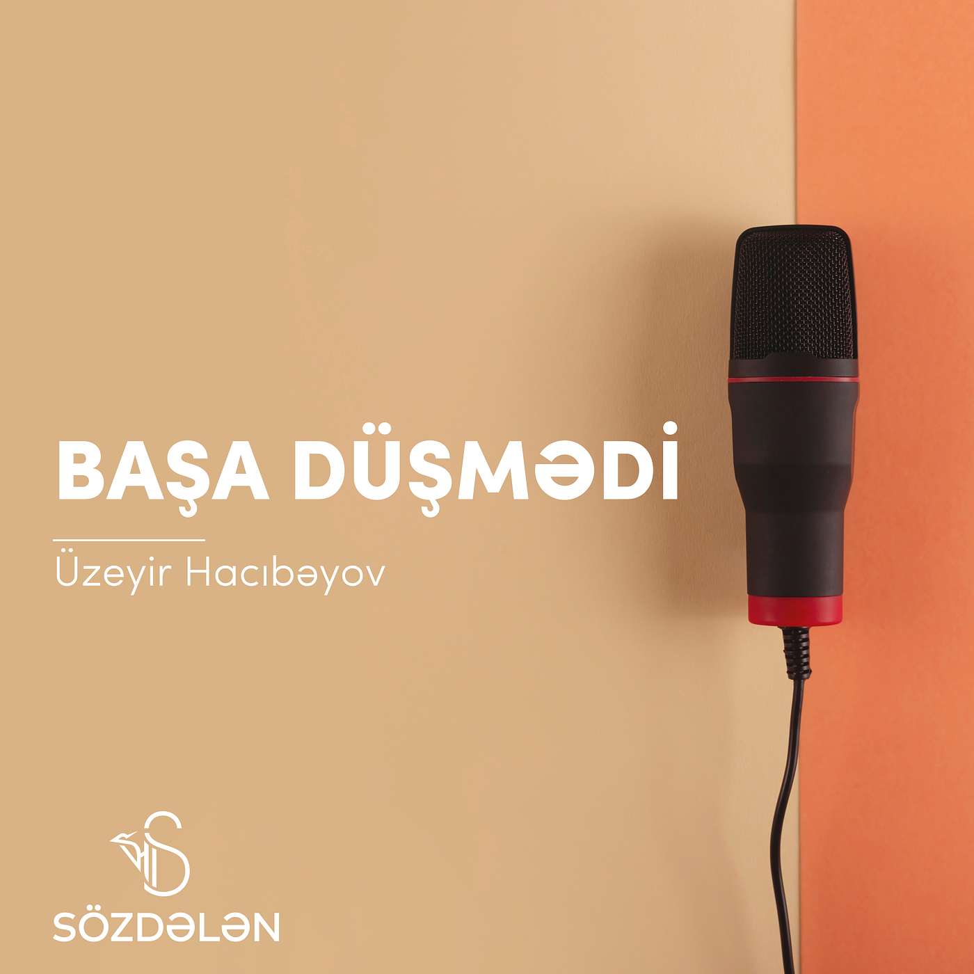 Başa düşmədi | Üzeyir Hacıbəyov | Sözdələn episode artwork