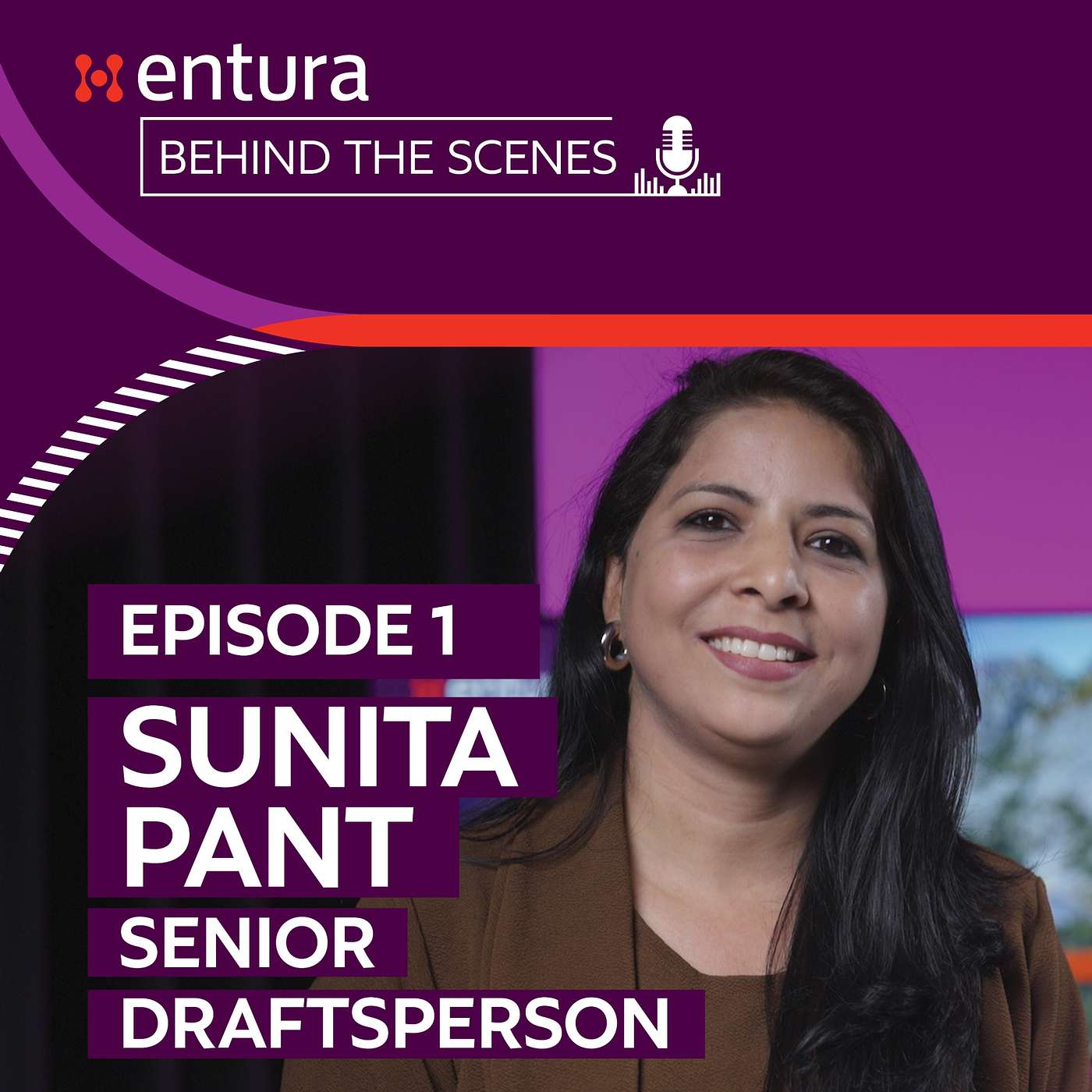 Sunita Pant, Senior Draftsperson episode artwork