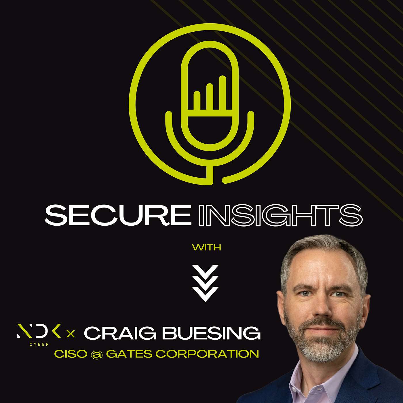 Secure Insights with NDK Cyber