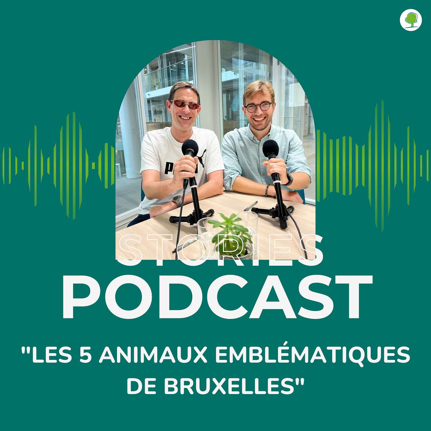 Big 5 : à la découverte des 5 animaux emblématiques de Bruxelles