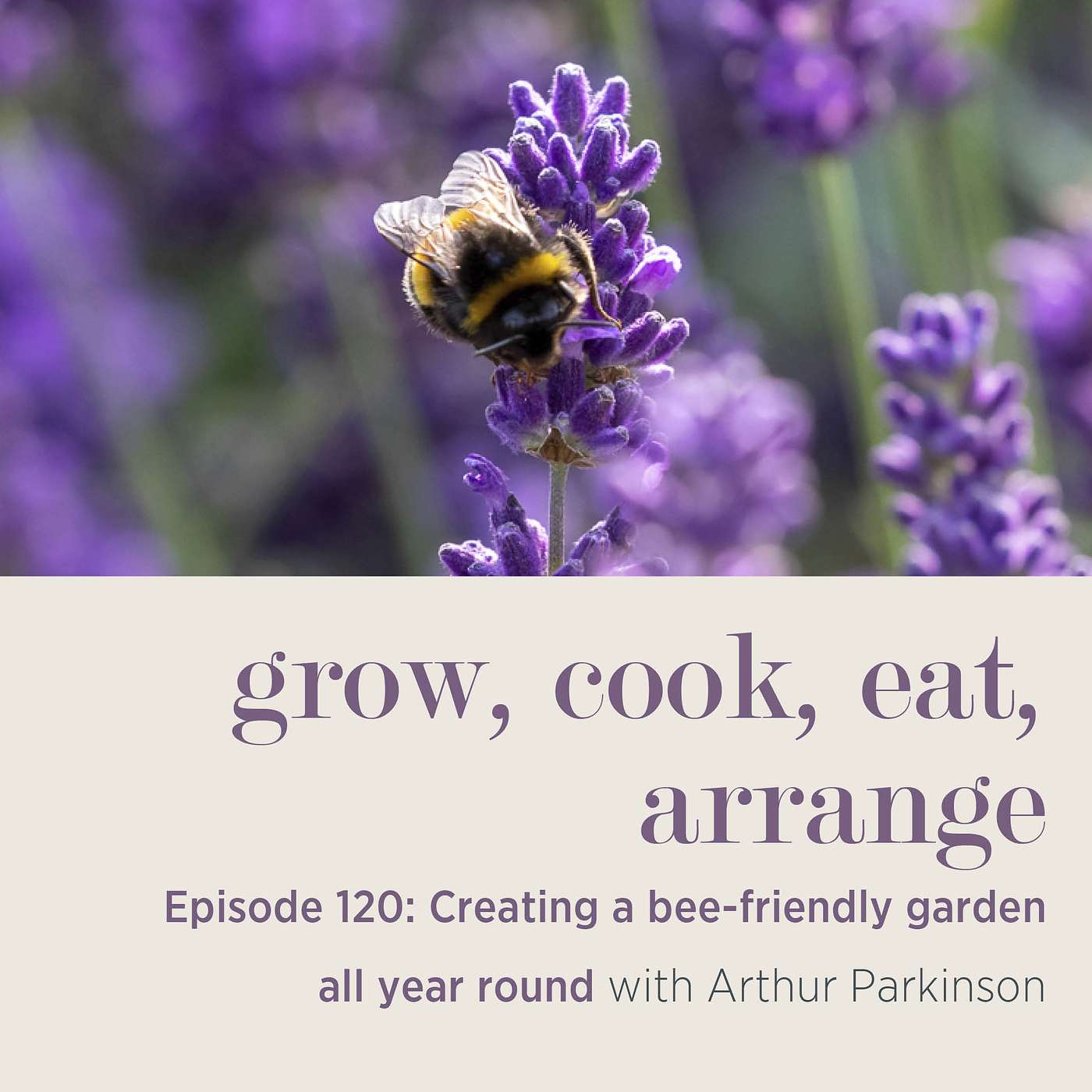 cover of episode Creating a Bee-Friendly Garden All Year Round with Arthur Parkinson - Episode 120