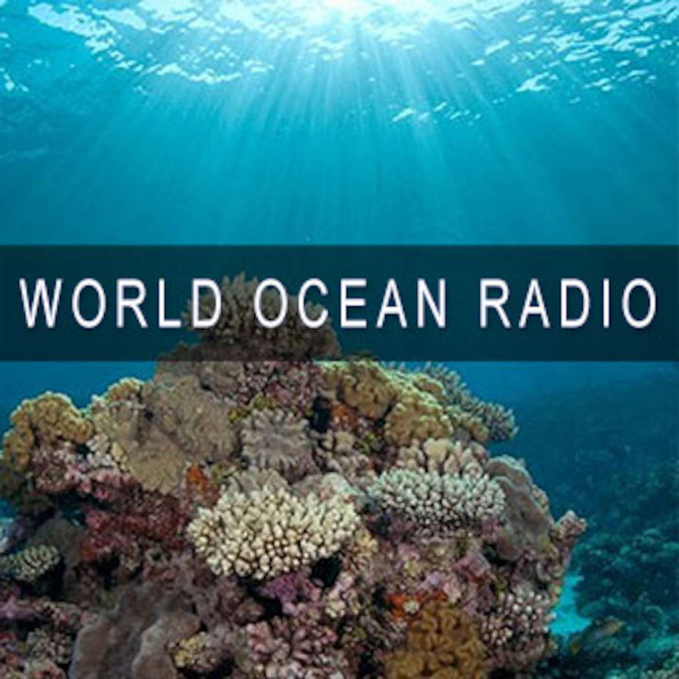 Ocean Literacy: The Ocean Shapes the Features of Earth - podcast episode cover