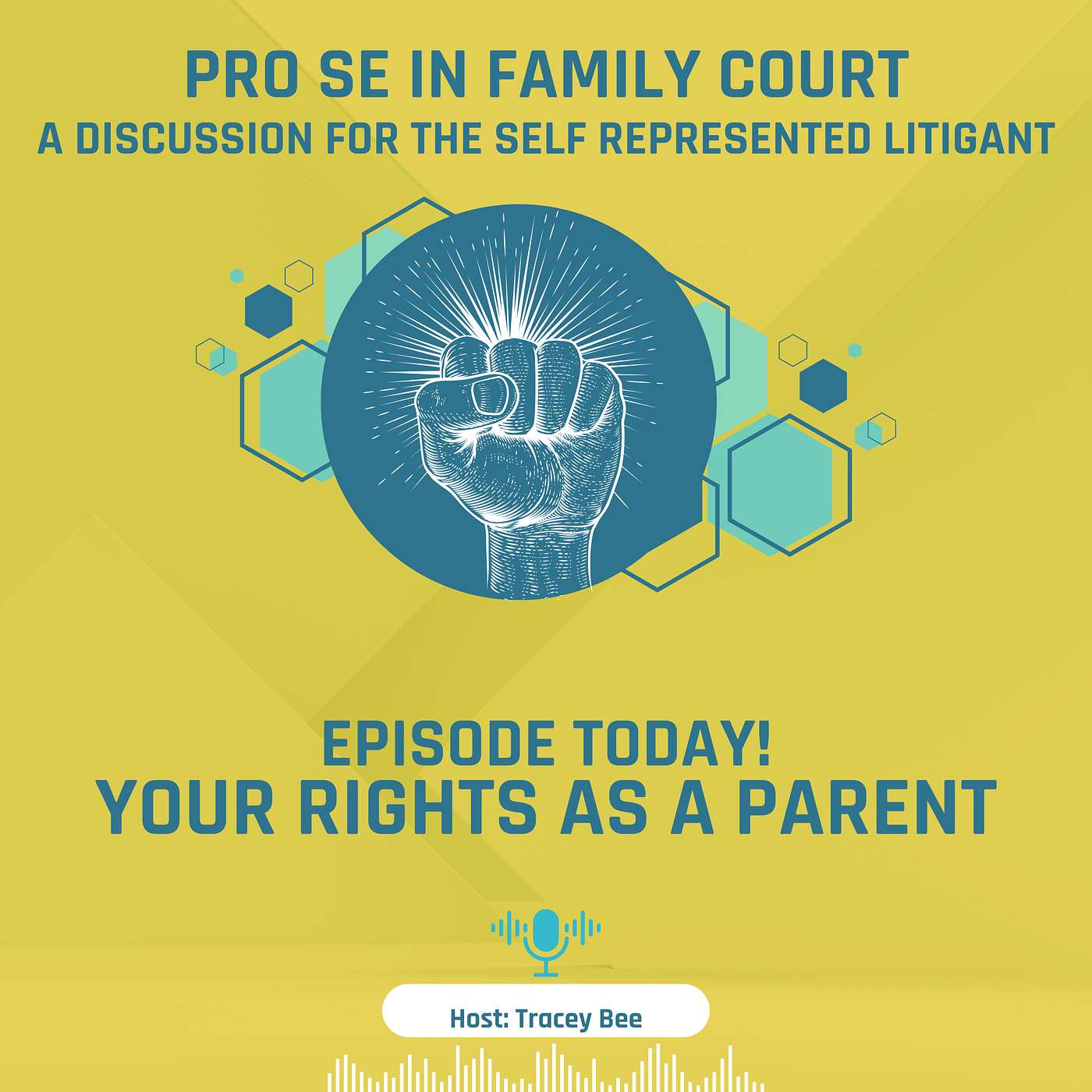 Episode 9: Your Rights as a Parent episode artwork