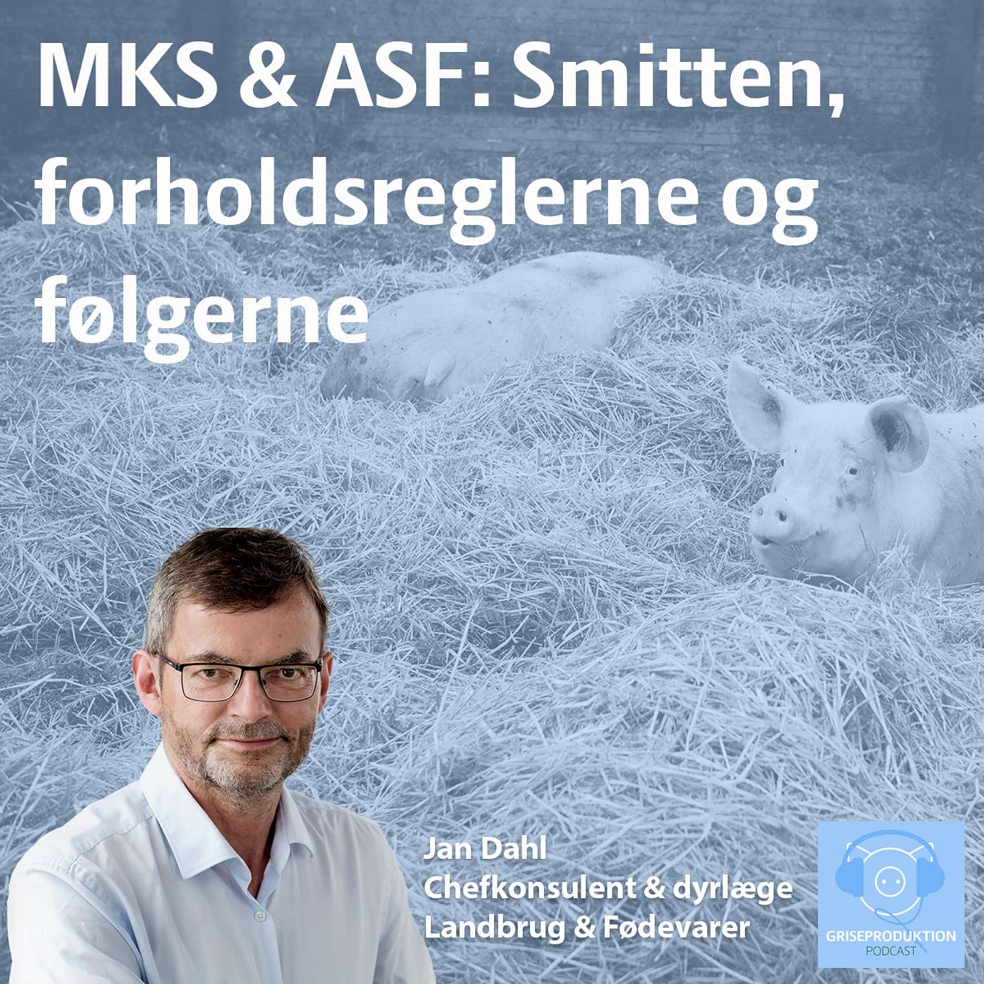 Griseproduktion