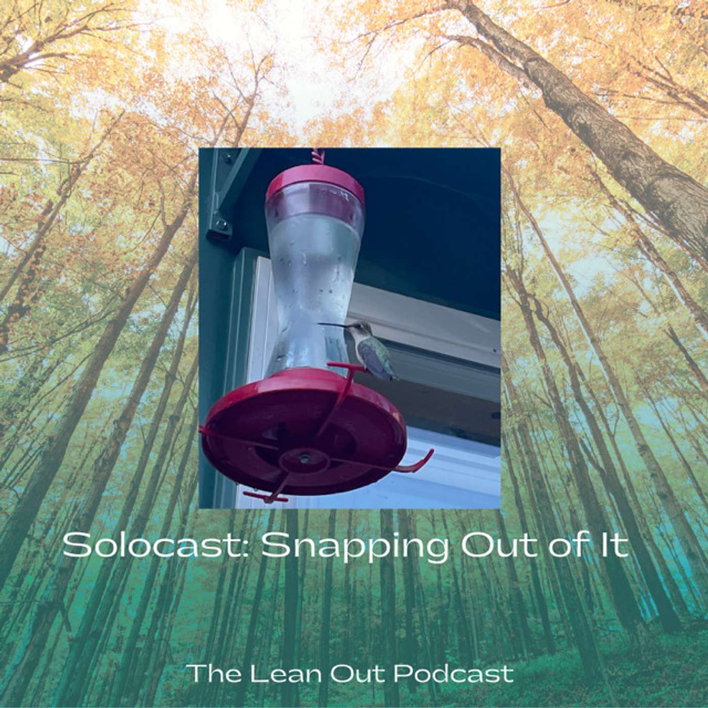 Lean Out Podcast