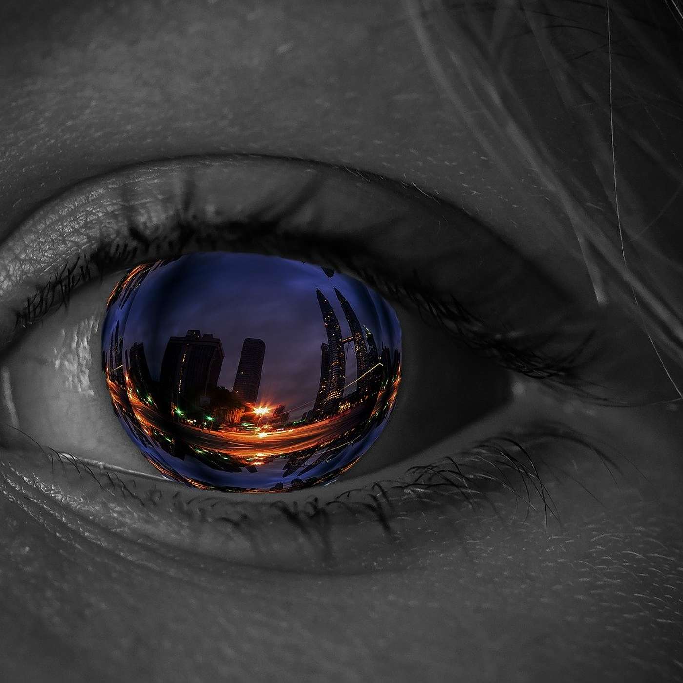 The Sci Fi Eye