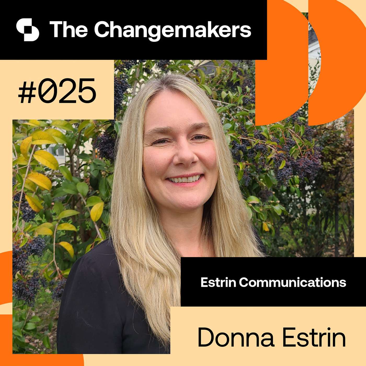 Cybersecurity special: Donna Estrin, Estrin Communications