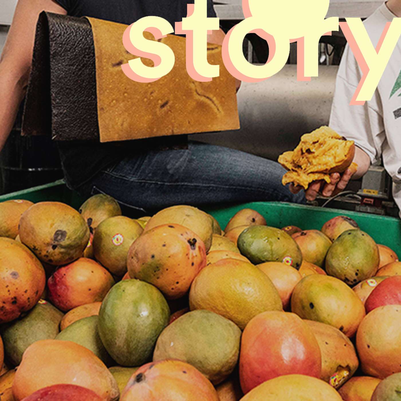 Story of Design