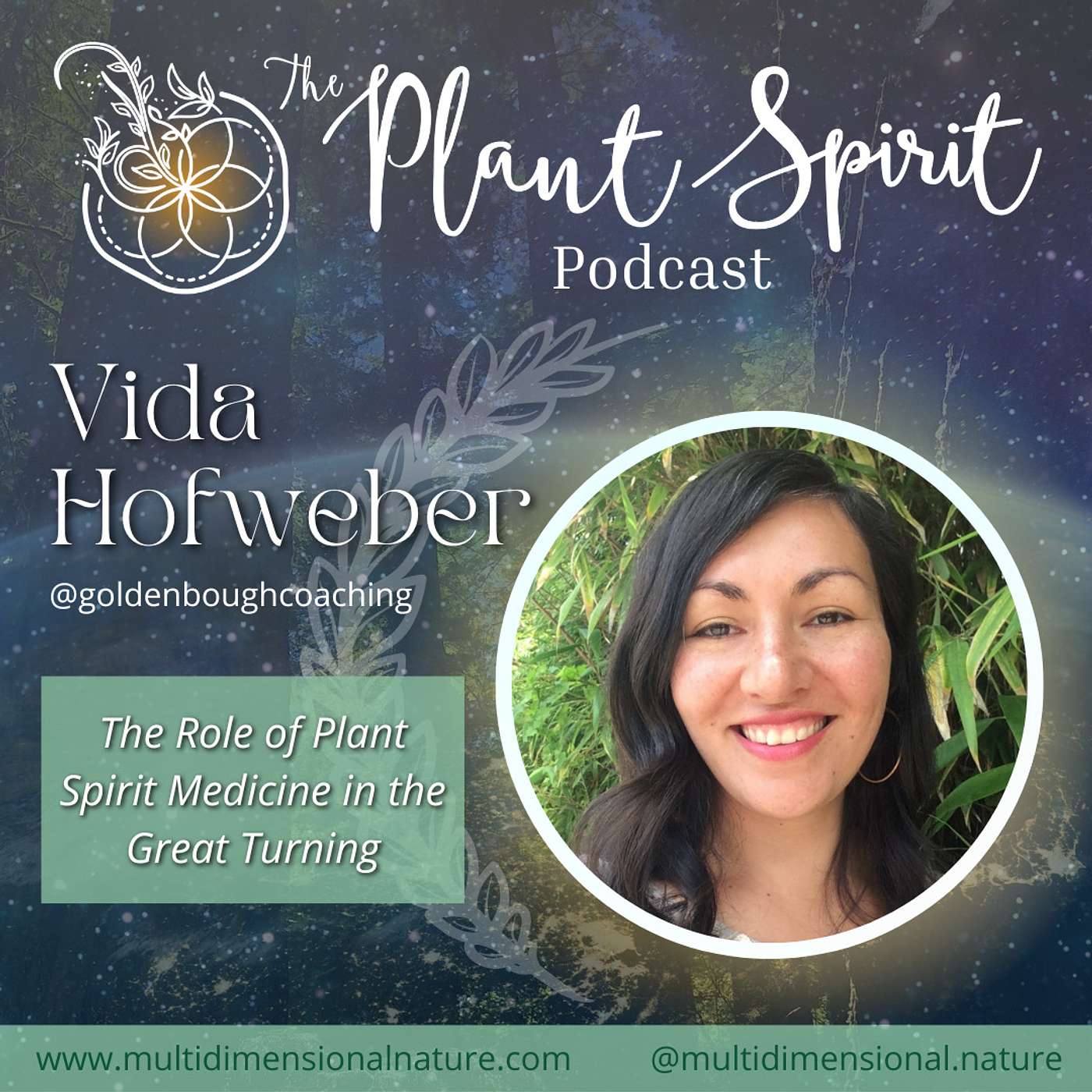 The Role of Plant Spirit Medicine in the Great Turning with Vida Hofweber