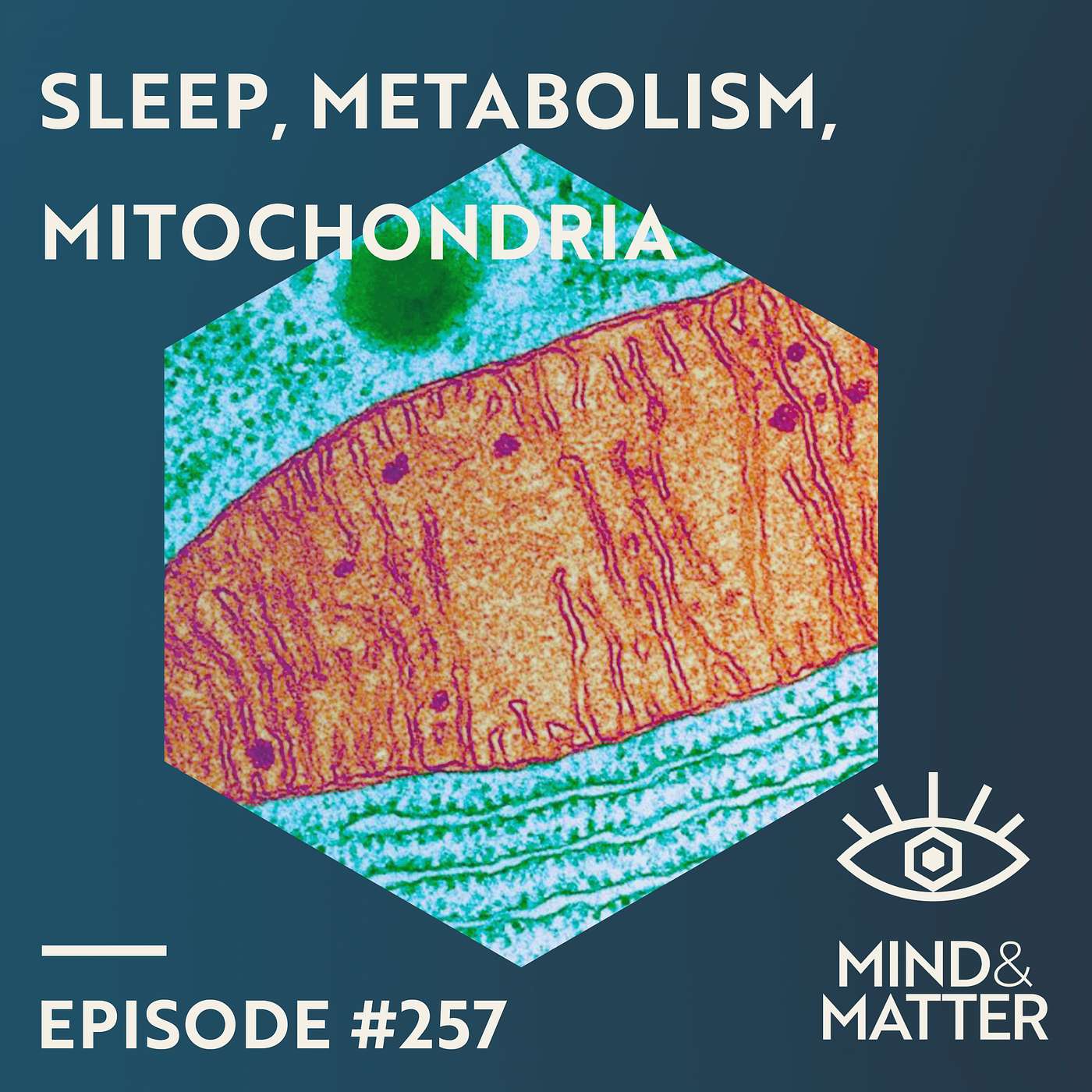 Sleep, Mitochondrial Metabolism & Oxidative Stress | Gero Miesenbock | 257