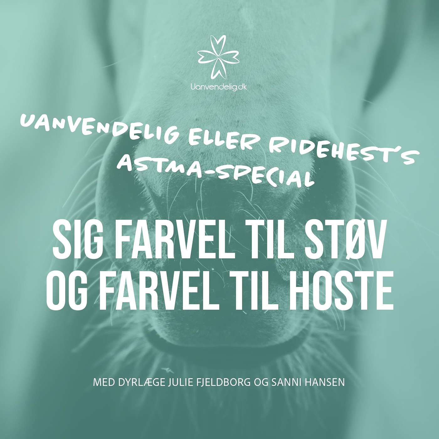 Astma-special: Staldmiljøet er vigtigere end behandling - Med dyrlæge Sanni Hansen og Julie Fjeldborg