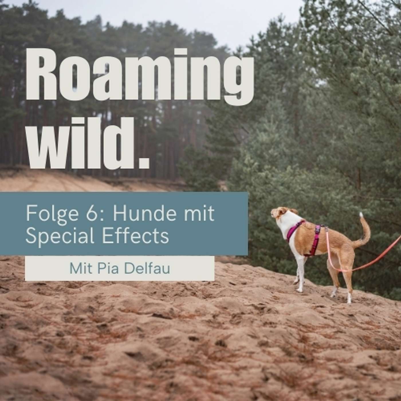 Roaming Wild - Outdoorerlebnisse und Fotografie mit Hund